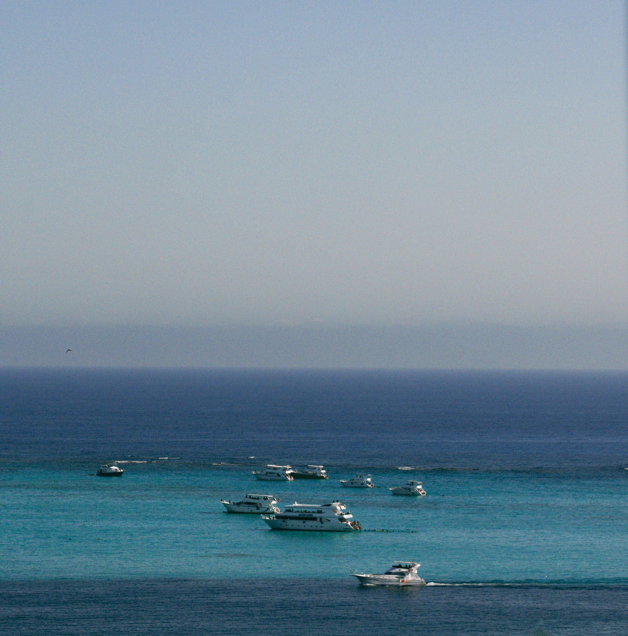 Photo by naderayman_photography