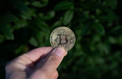 BrainSprout: Unpacking Creative Literacy at Bitcoin Conference 2026
