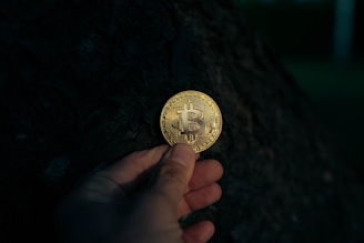 A hand holds a gold bitcoin.