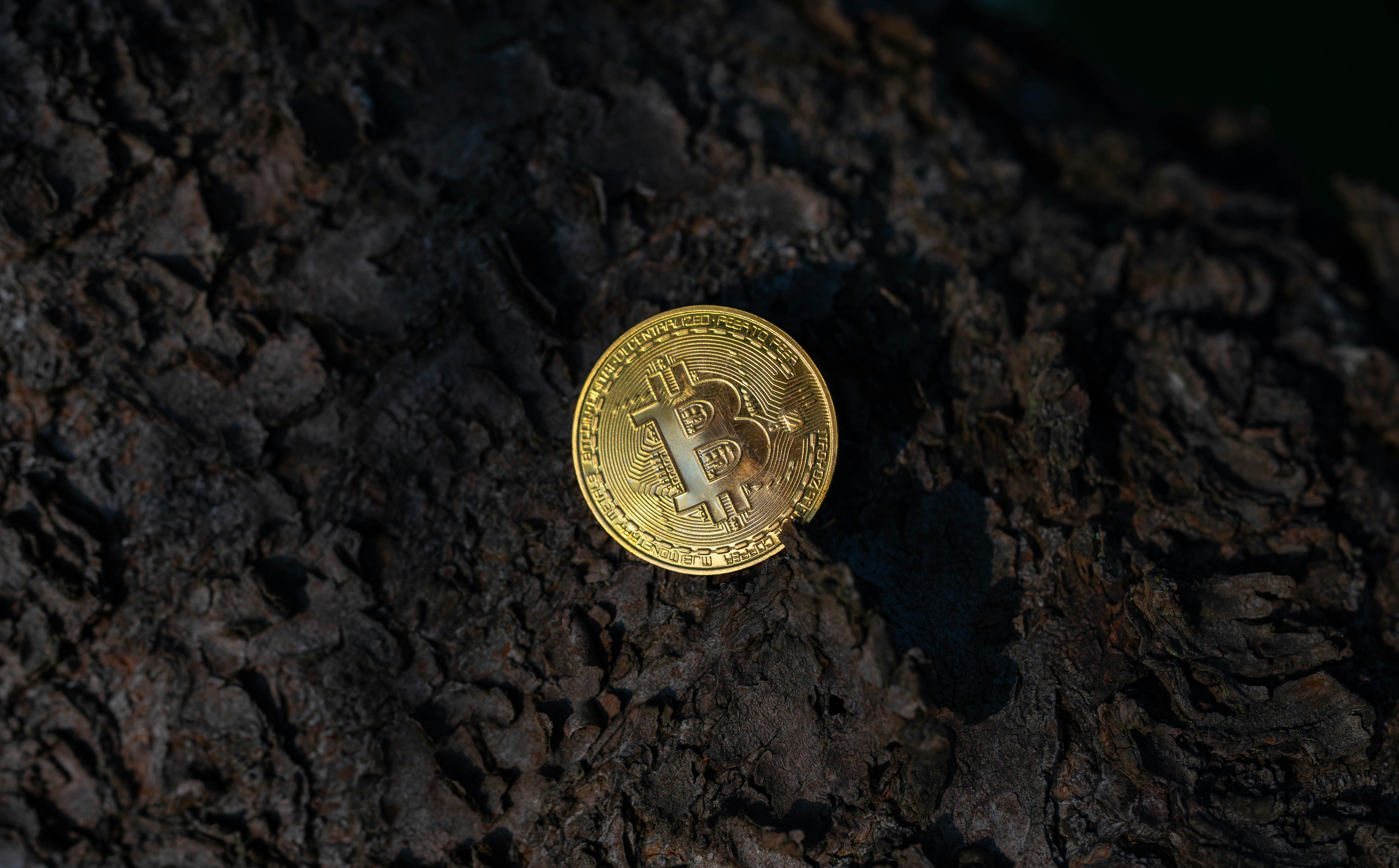 Investing Basics for Malawians Starting with Very Little Money