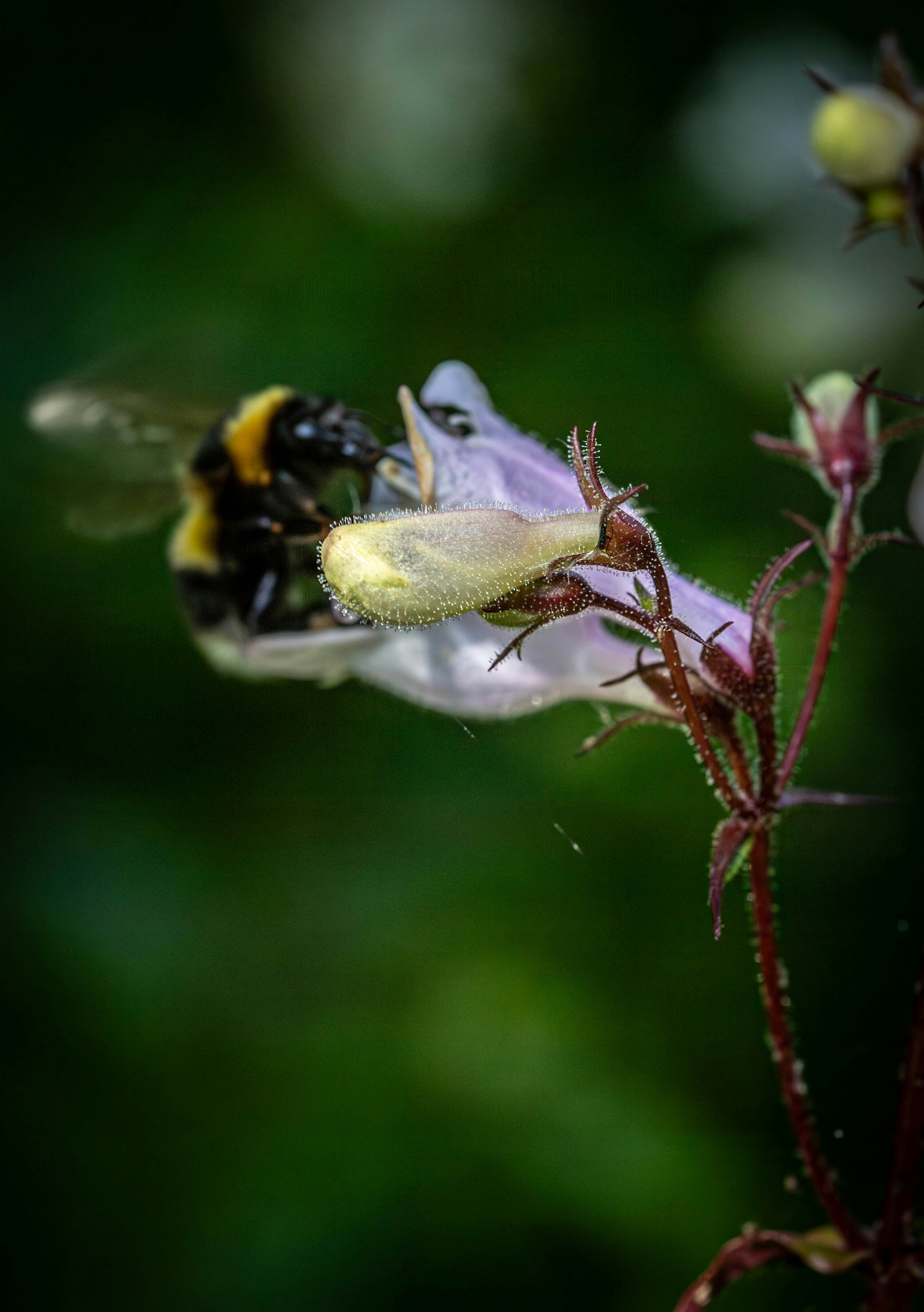 Photo by hdbernd