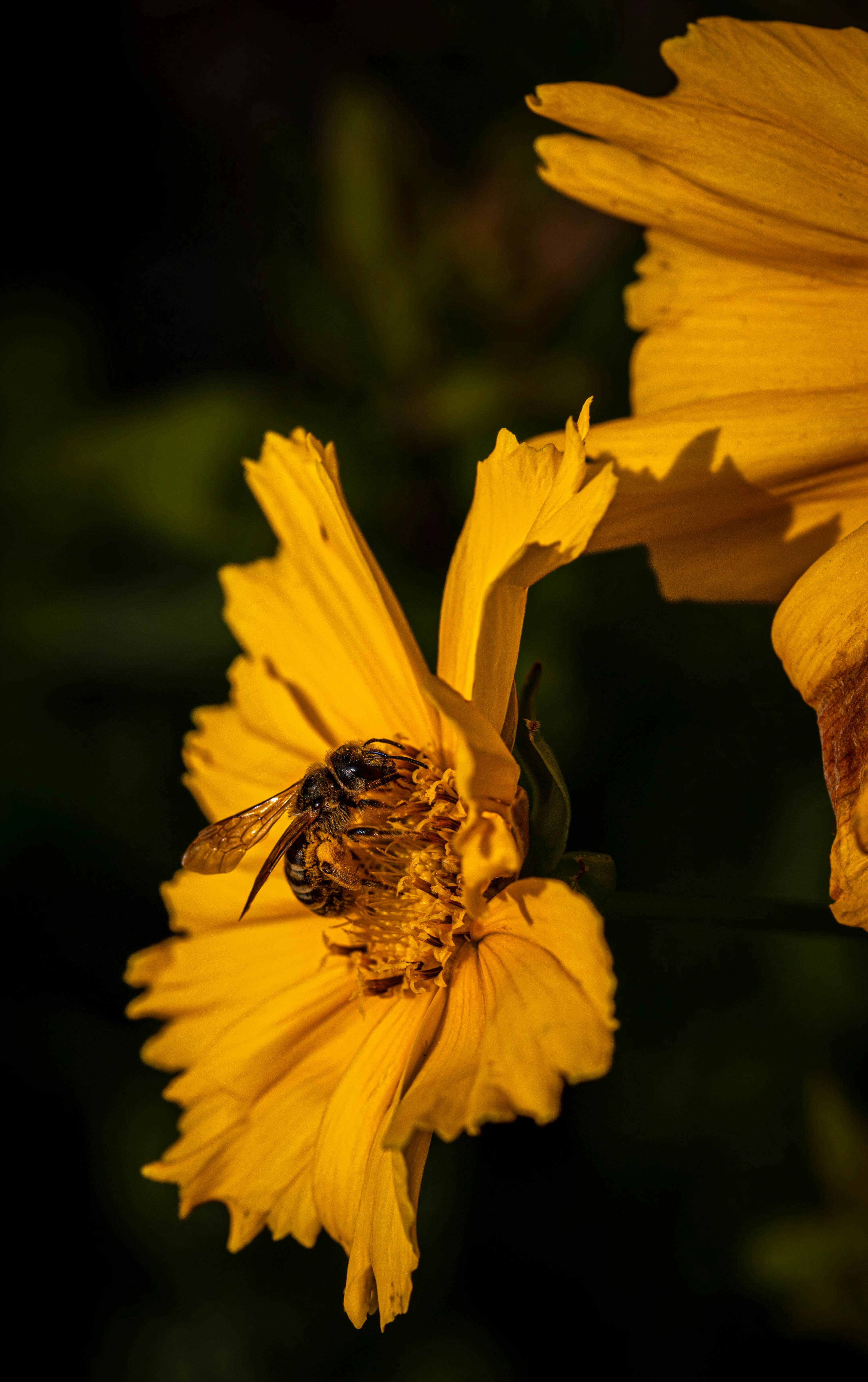 Photo by hdbernd
