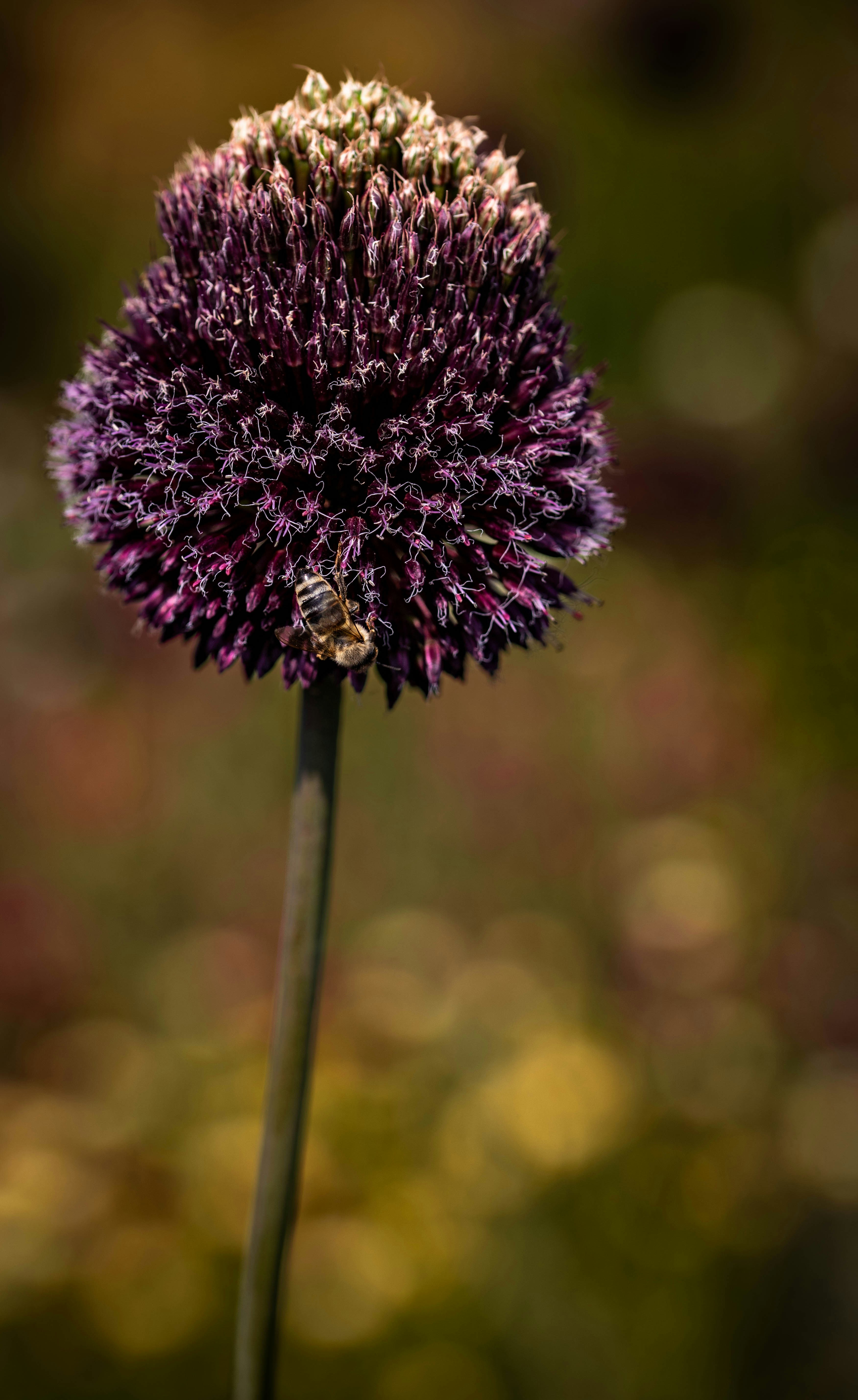 Photo by hdbernd