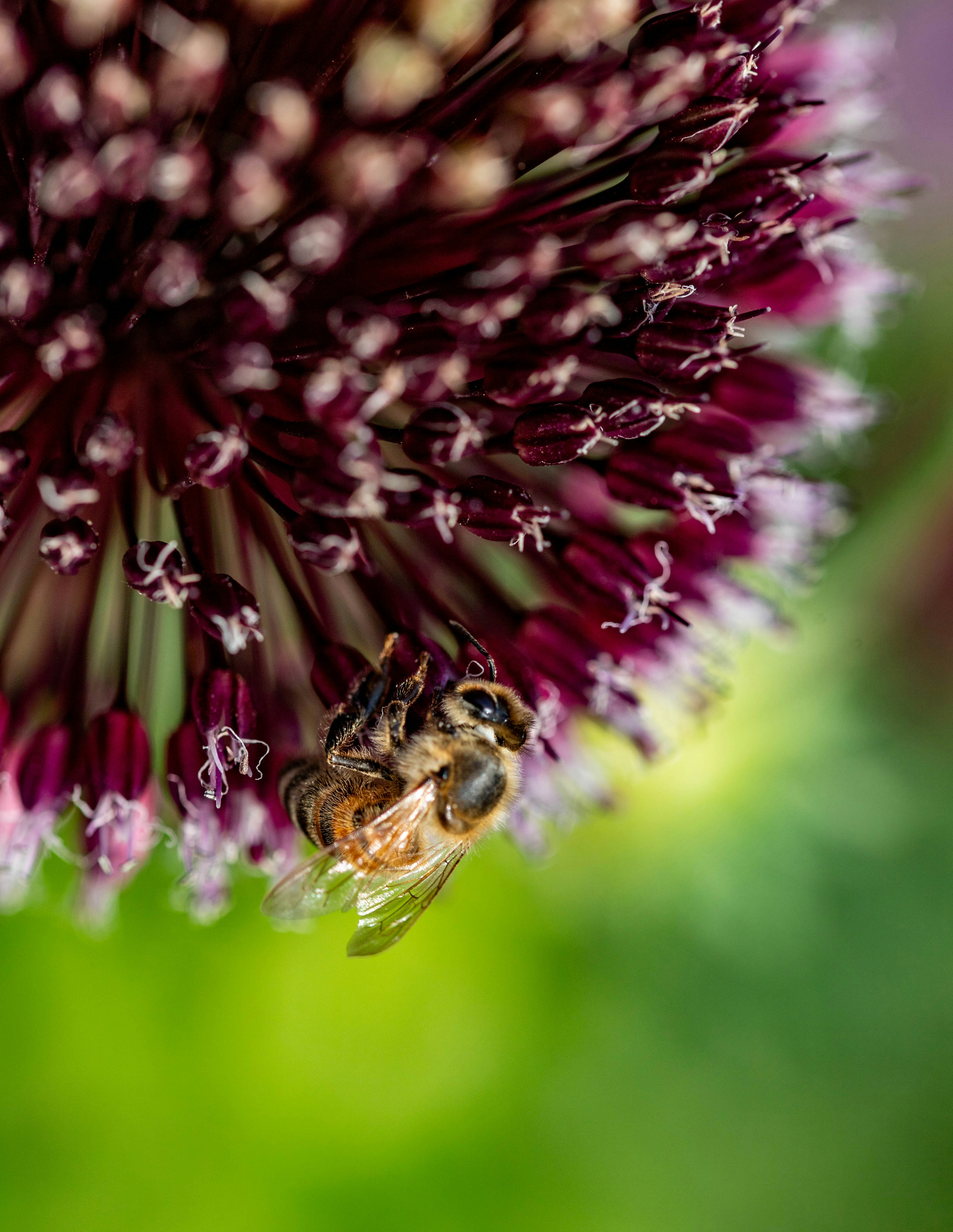 Photo by hdbernd