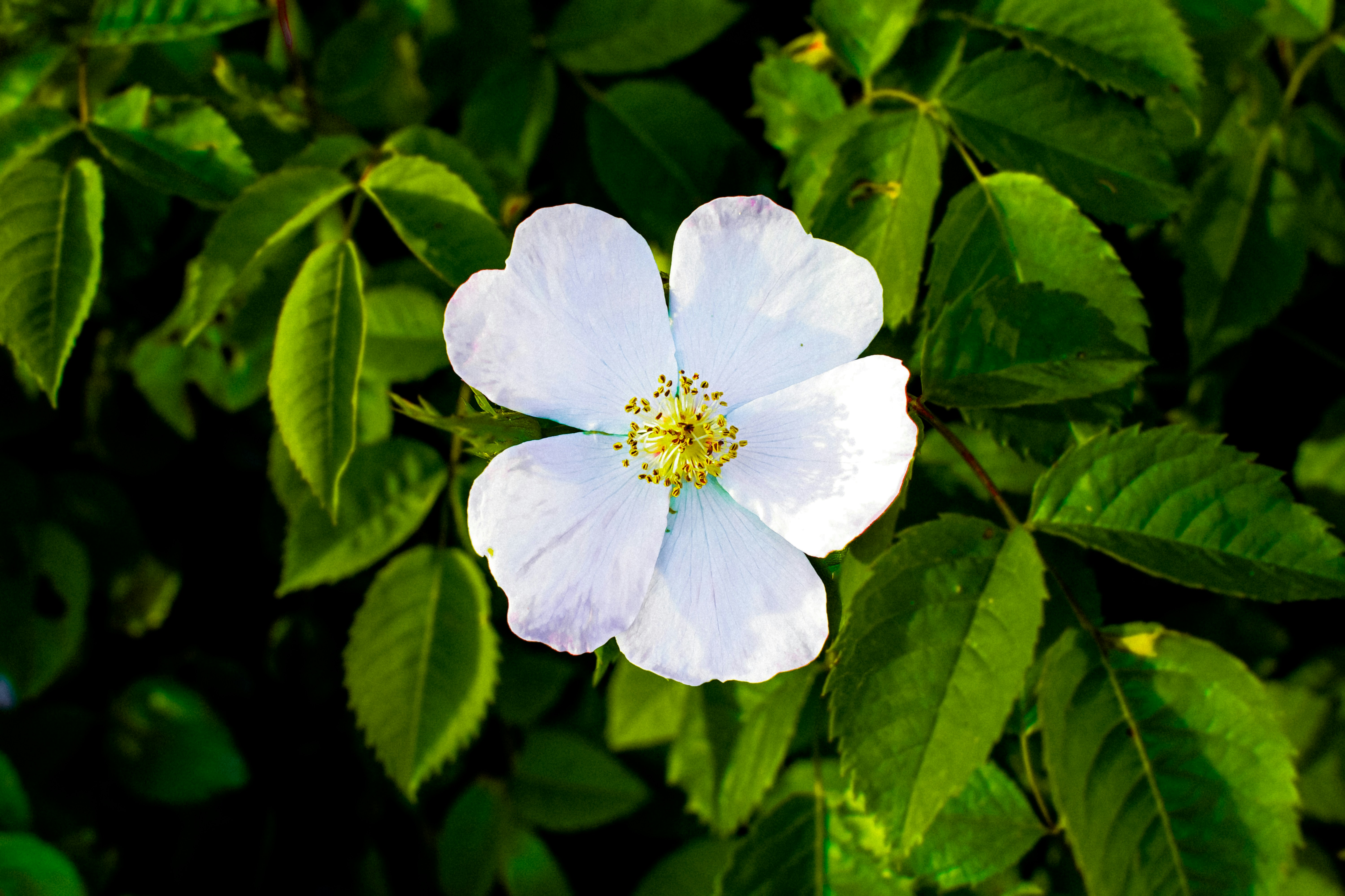 Photo by sumeyyebozkus