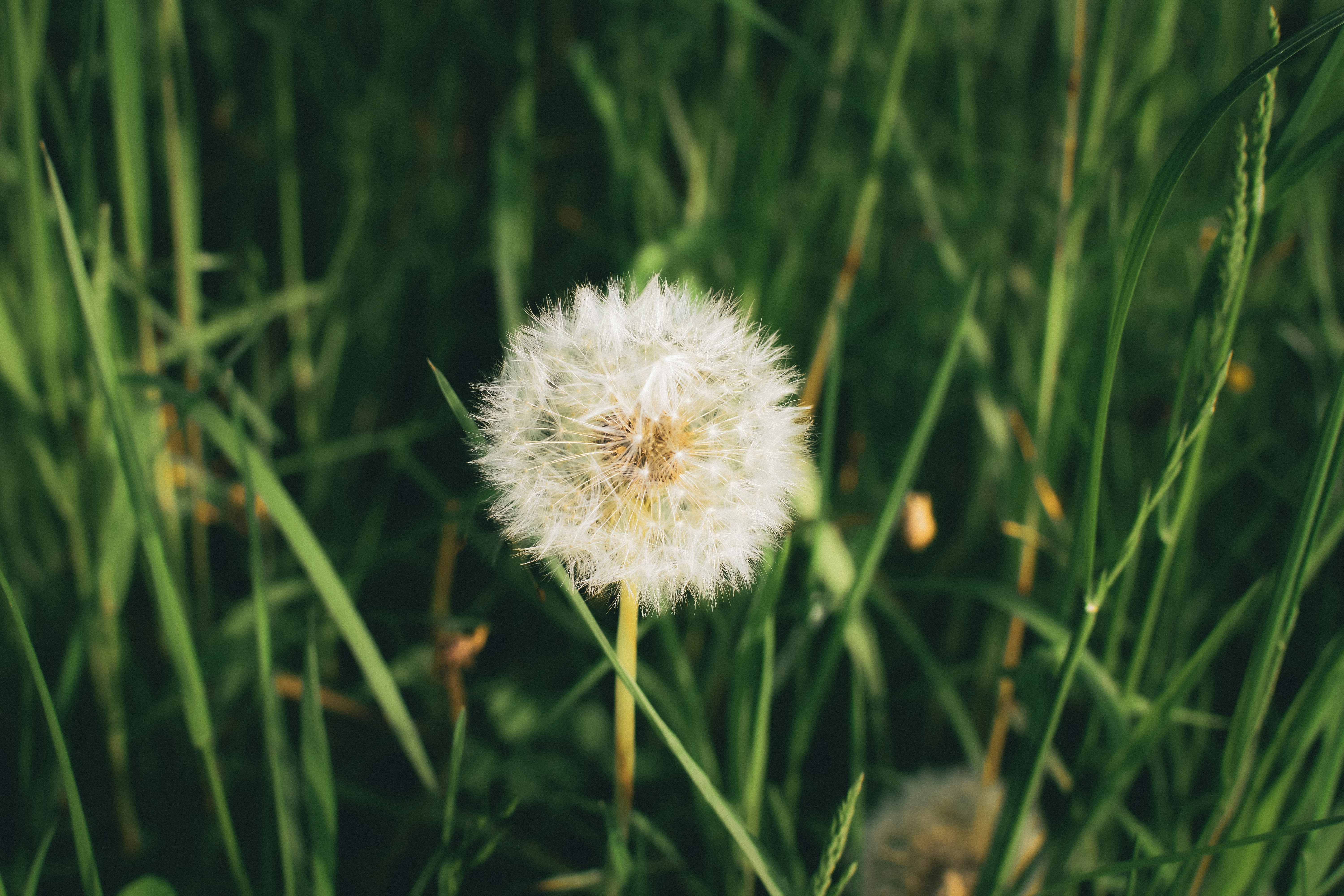 Photo by sumeyyebozkus