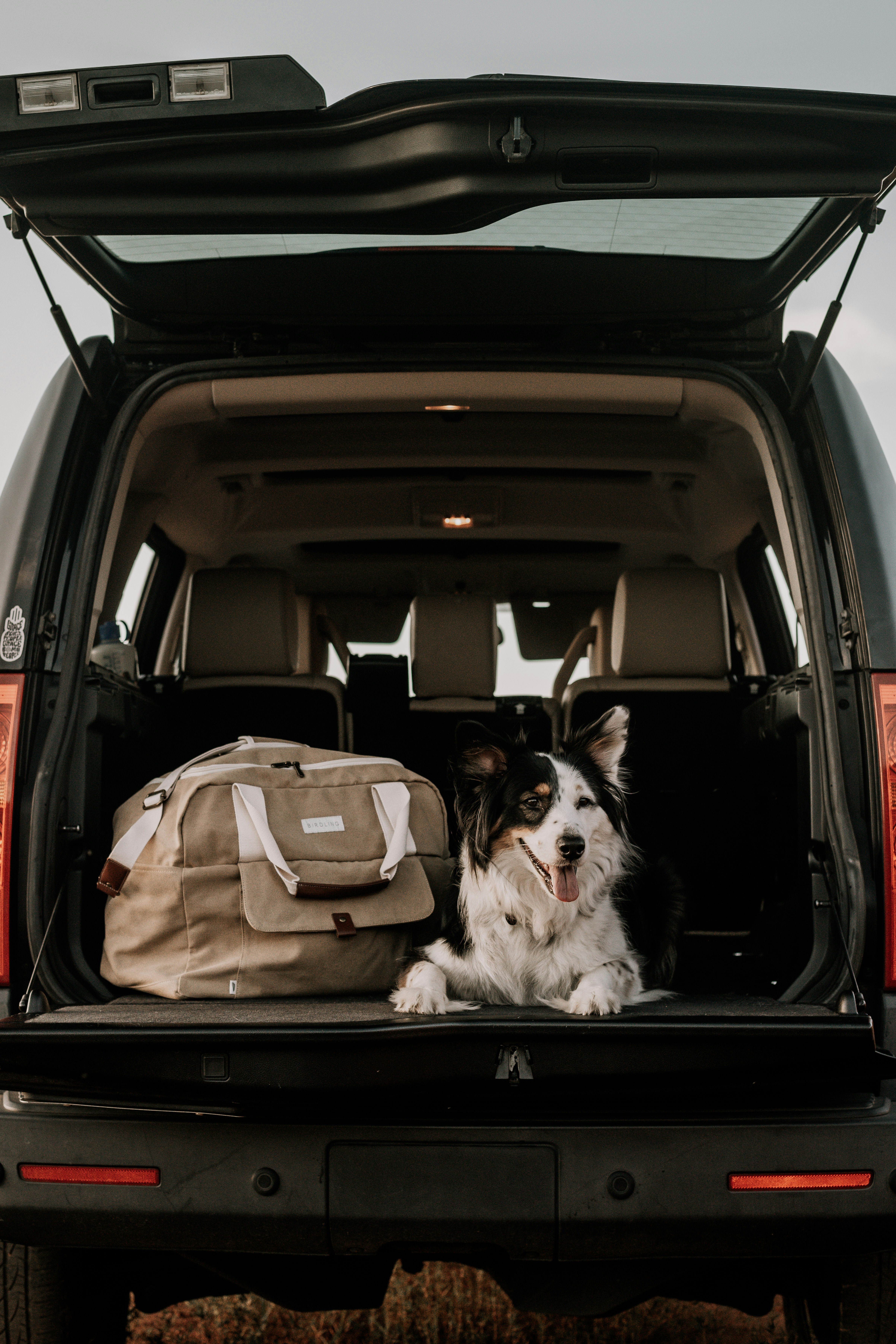 Photo by christiancrocker