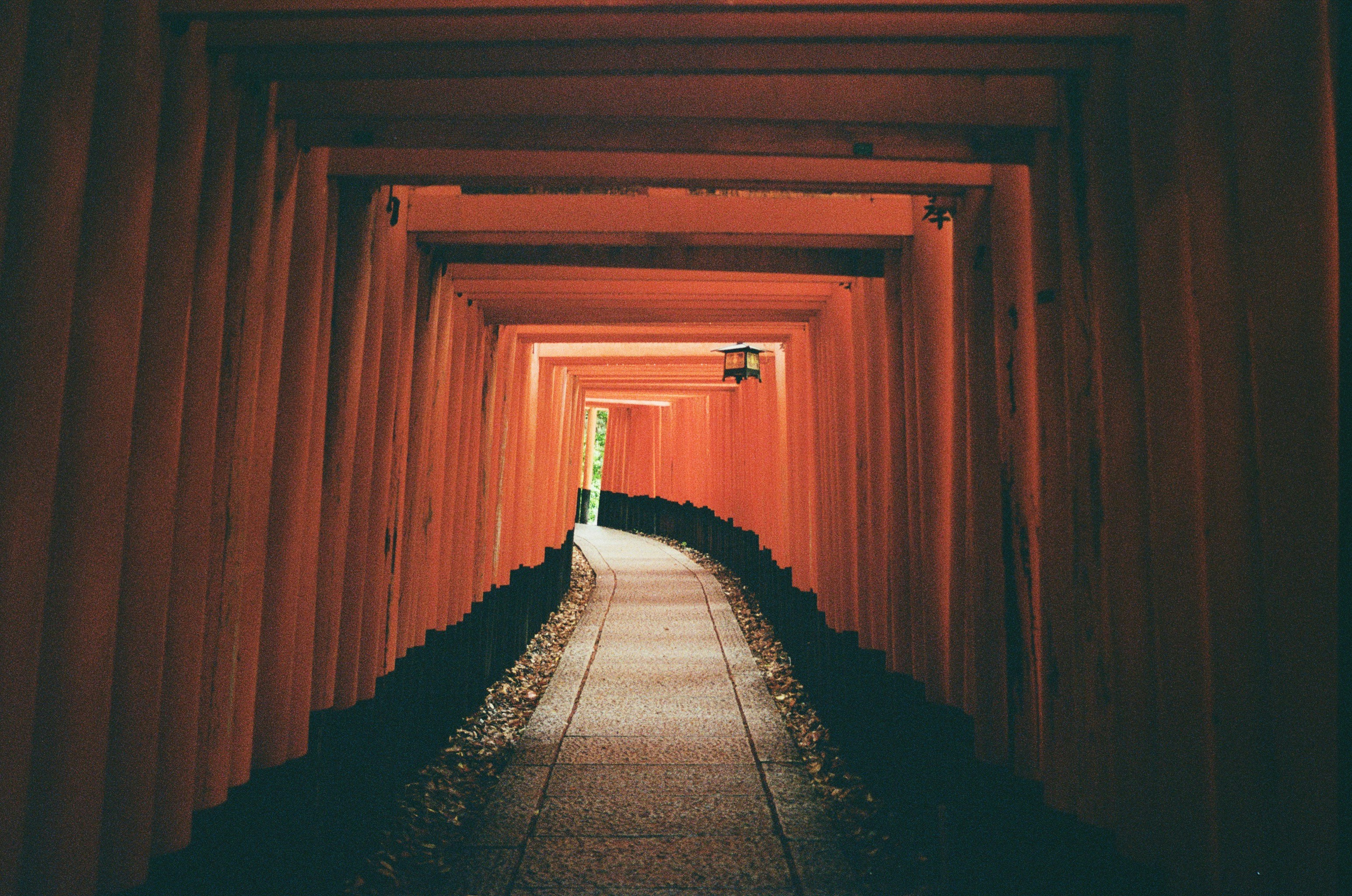 Photo by jo_negatives