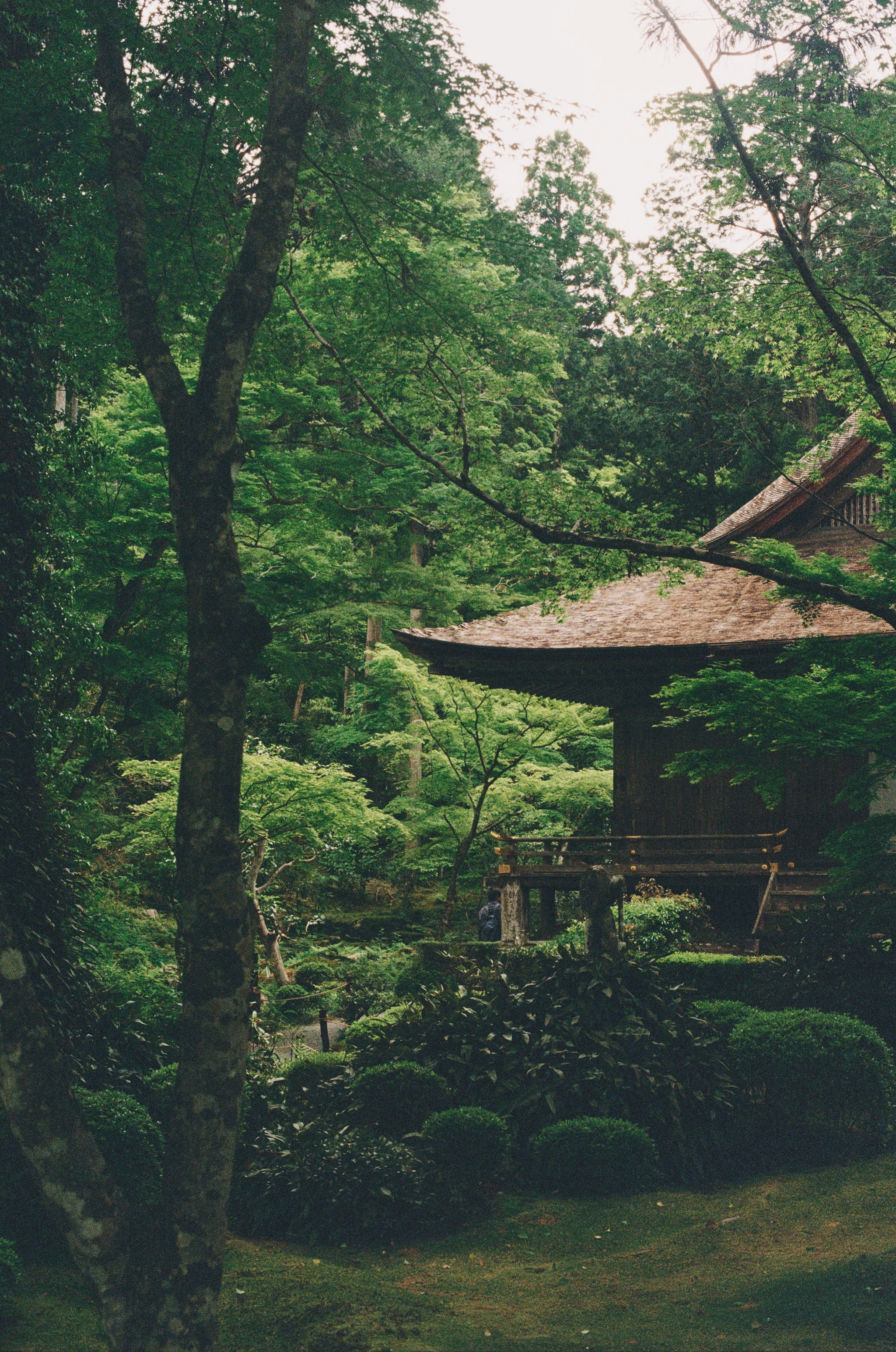 Photo by jo_negatives