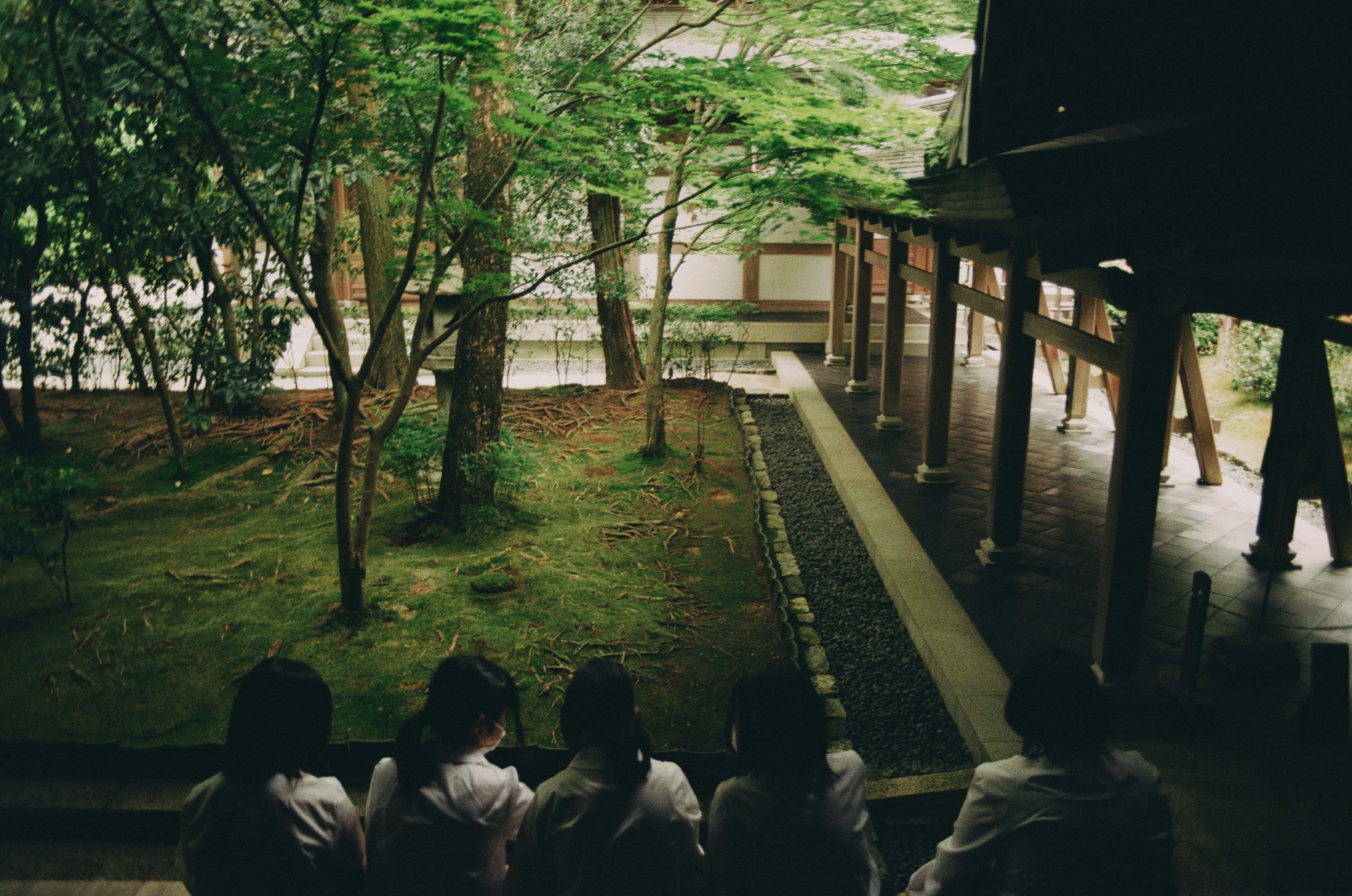 People sit and admire a tranquil garden scene.
