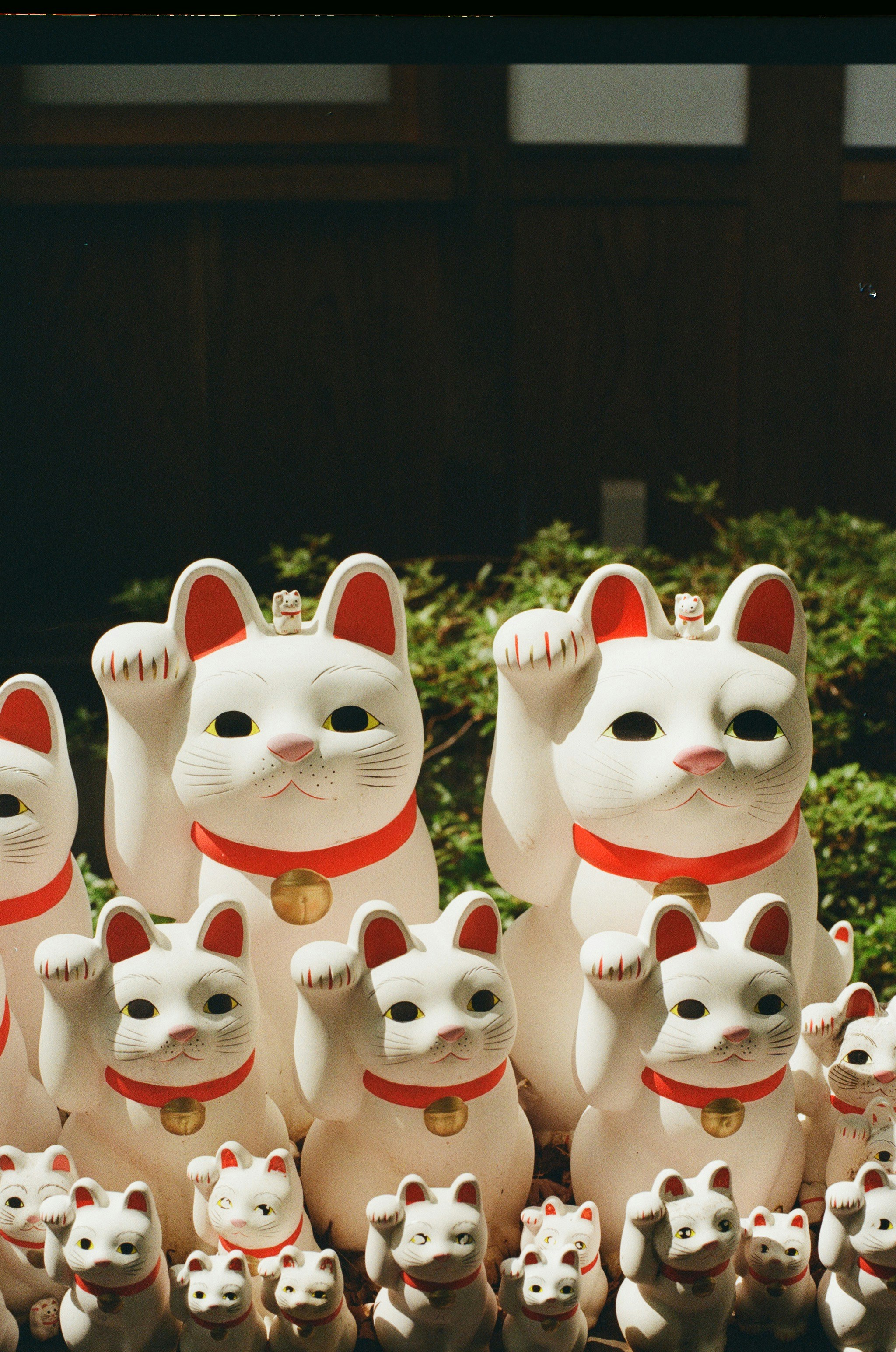 Photo by jo_negatives