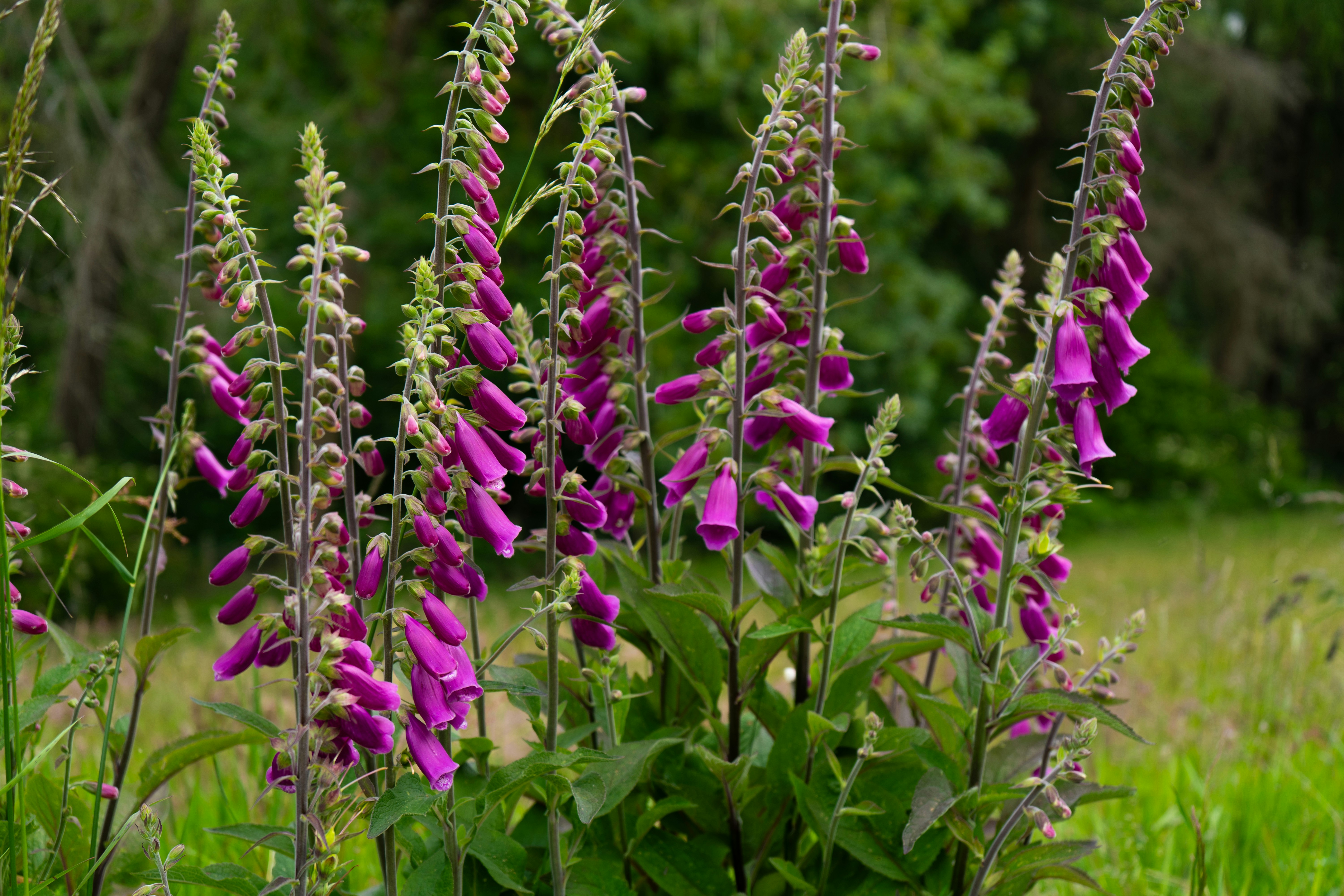 Photo by catrinellis