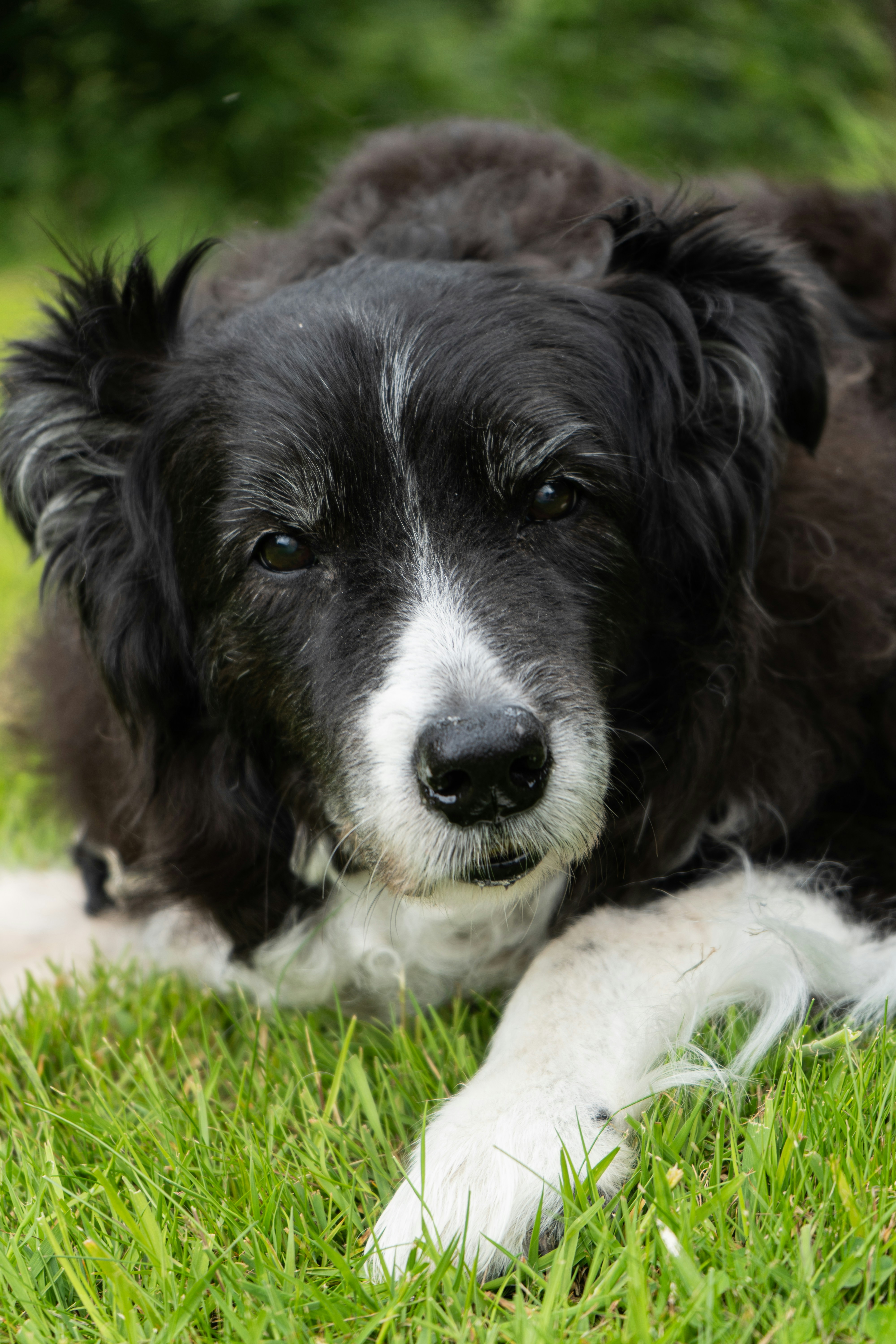 Photo by catrinellis