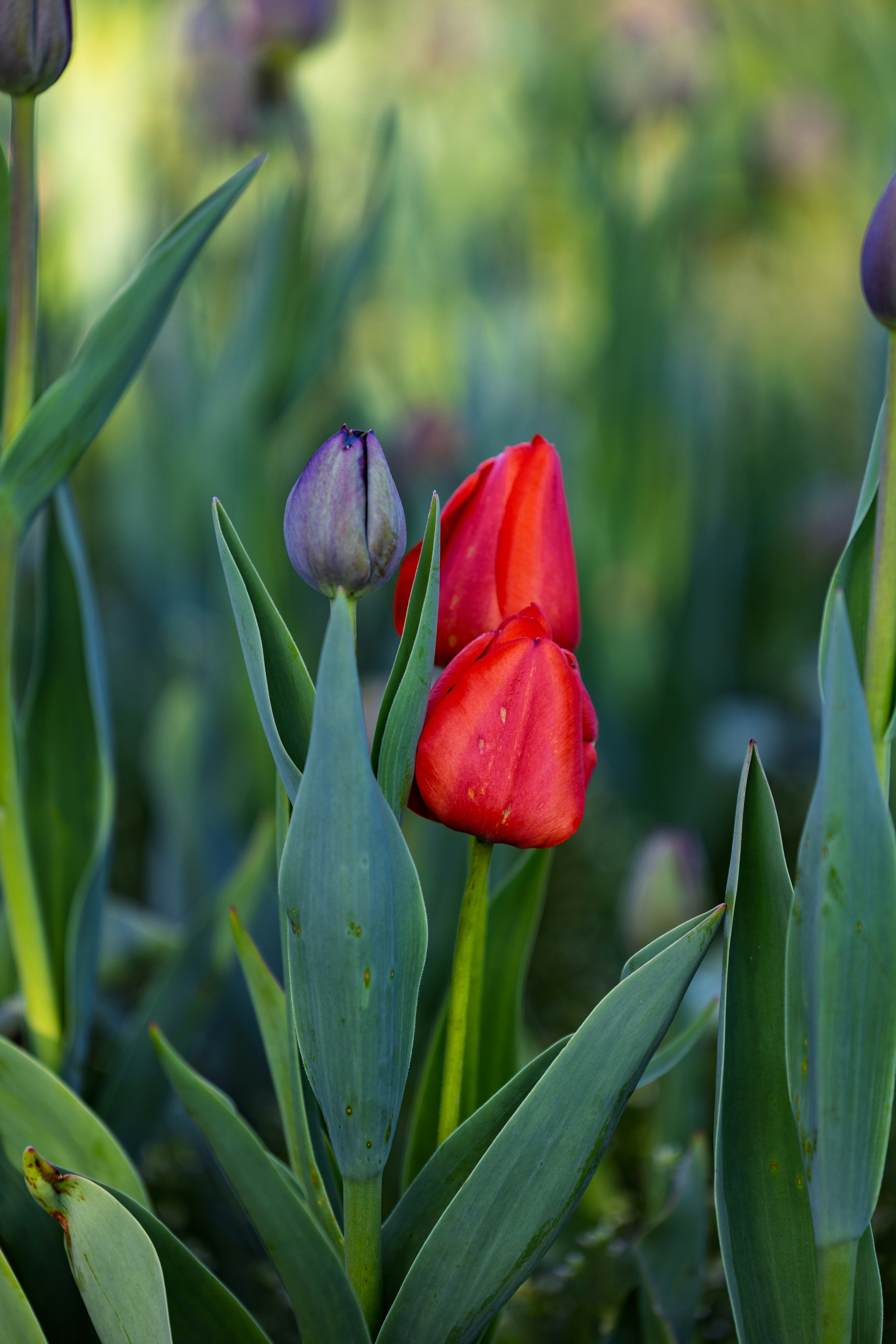 Photo by lancetraveler60