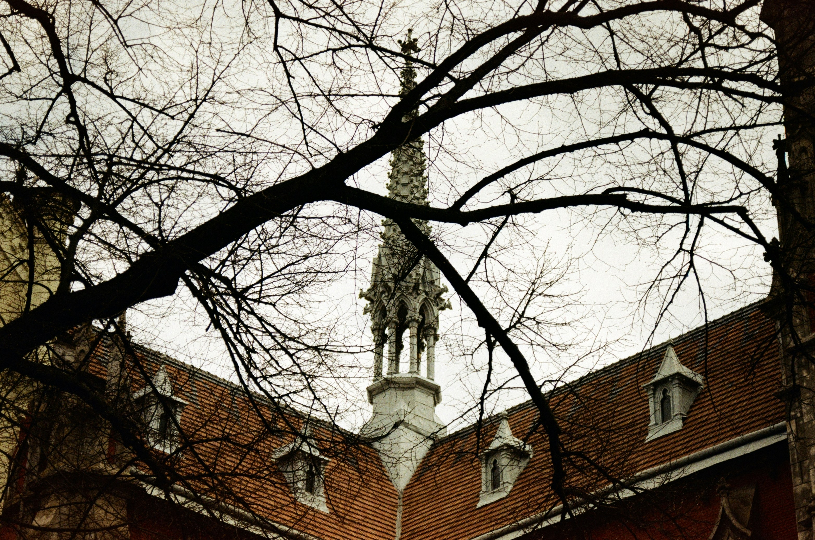 Gothic steeple peeks through bare winter branches.