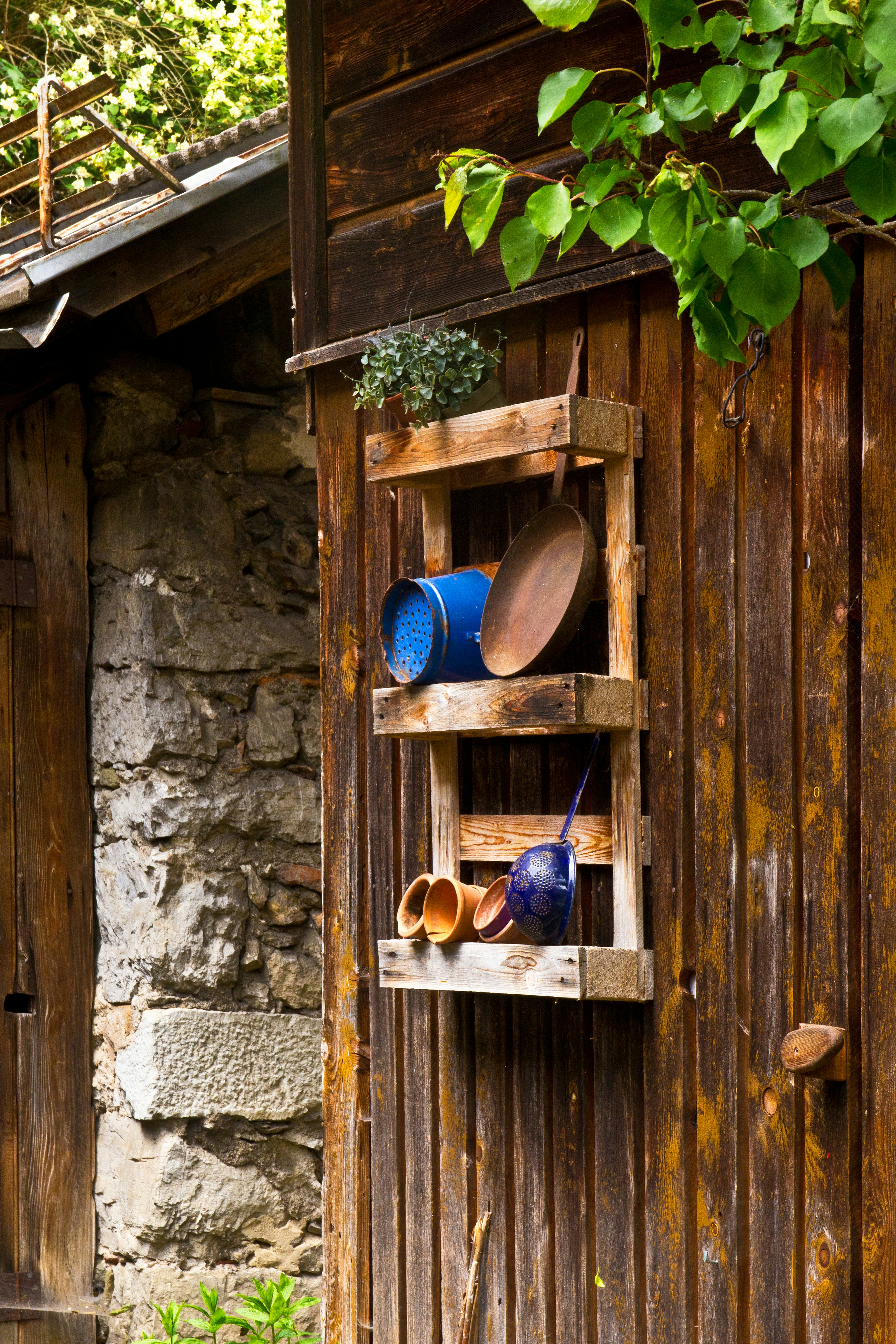 Photo by conniedevries