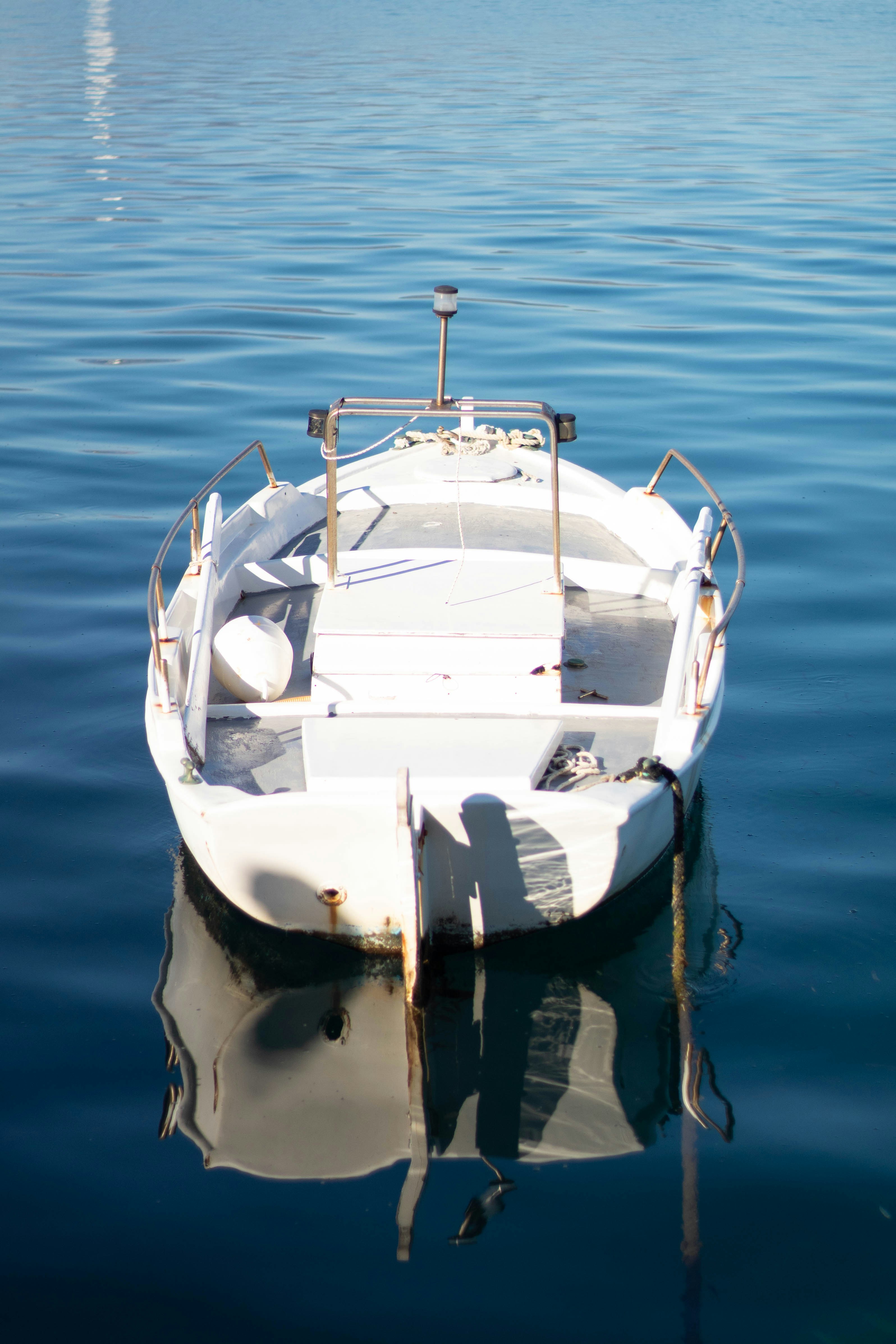 Photo by steve_sullivant