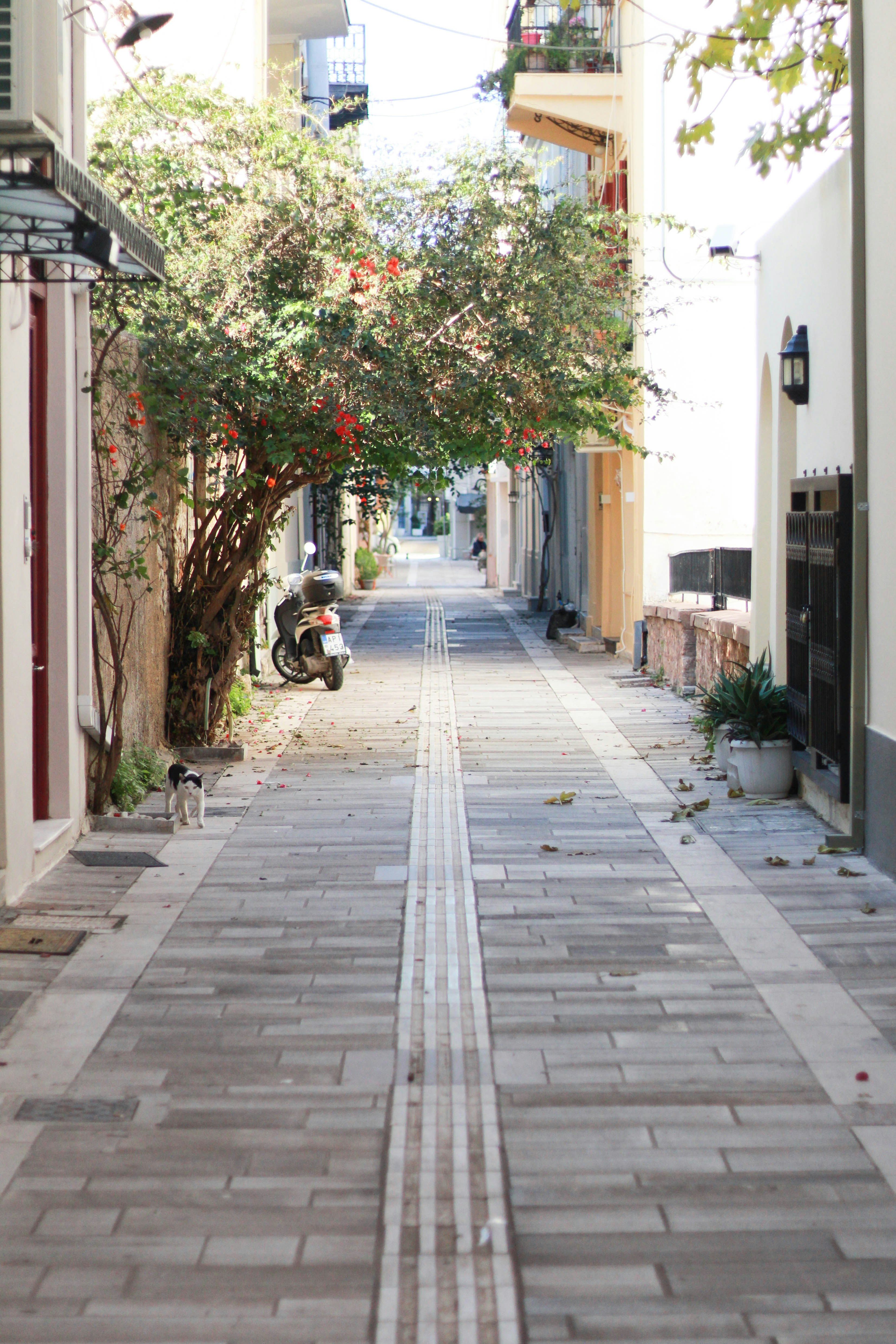 Photo by steve_sullivant