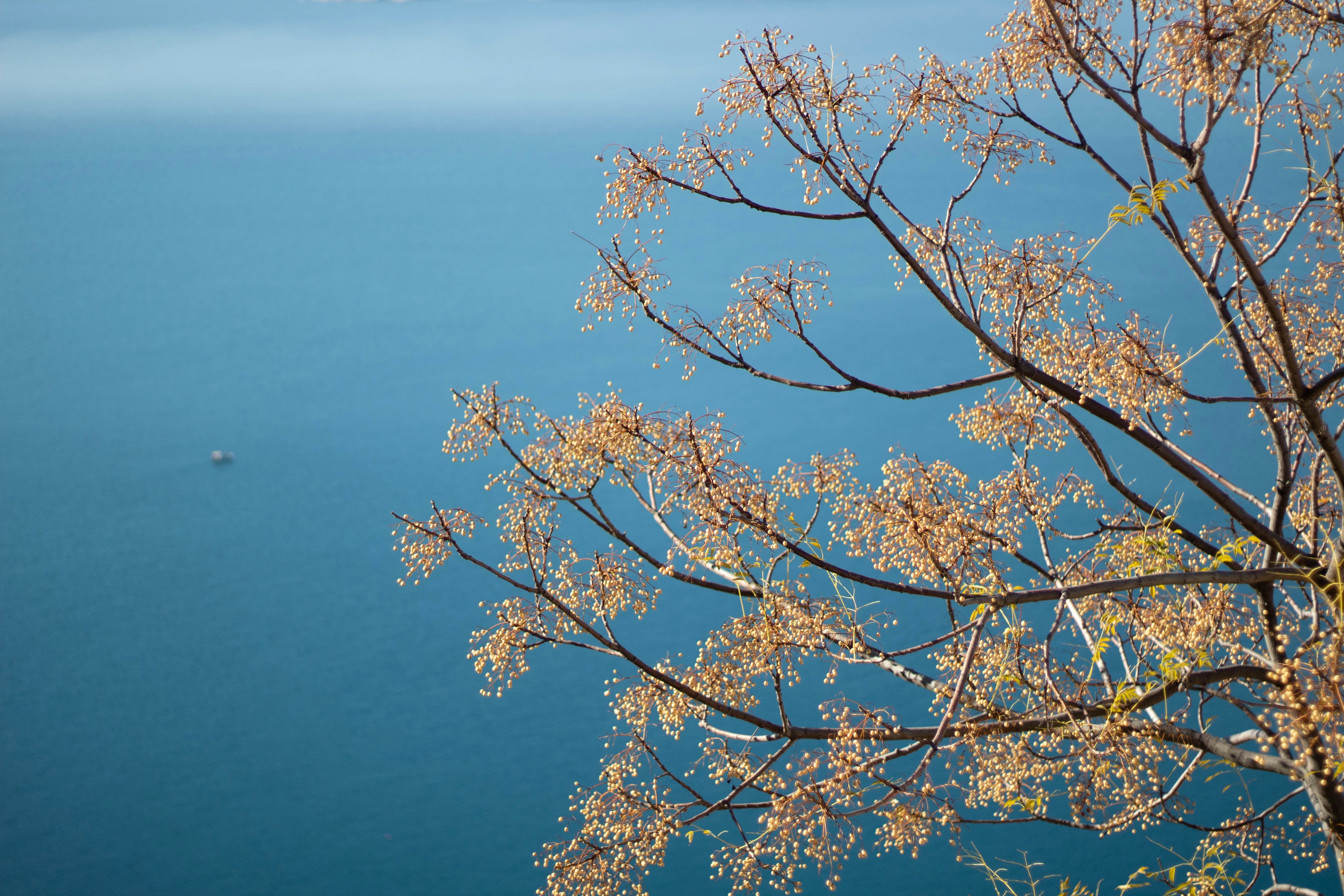 Photo by steve_sullivant