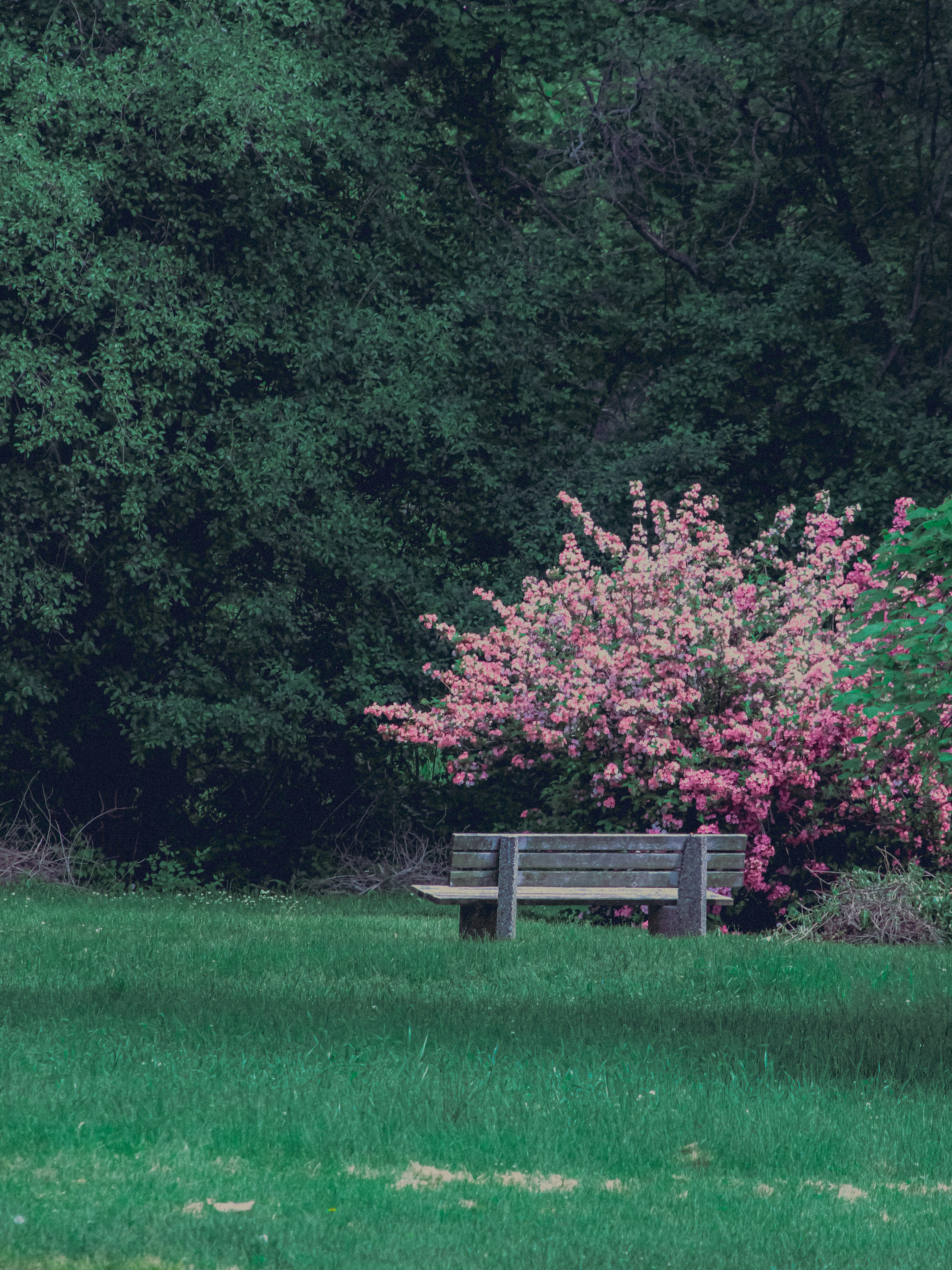 Photo by linusbelanger