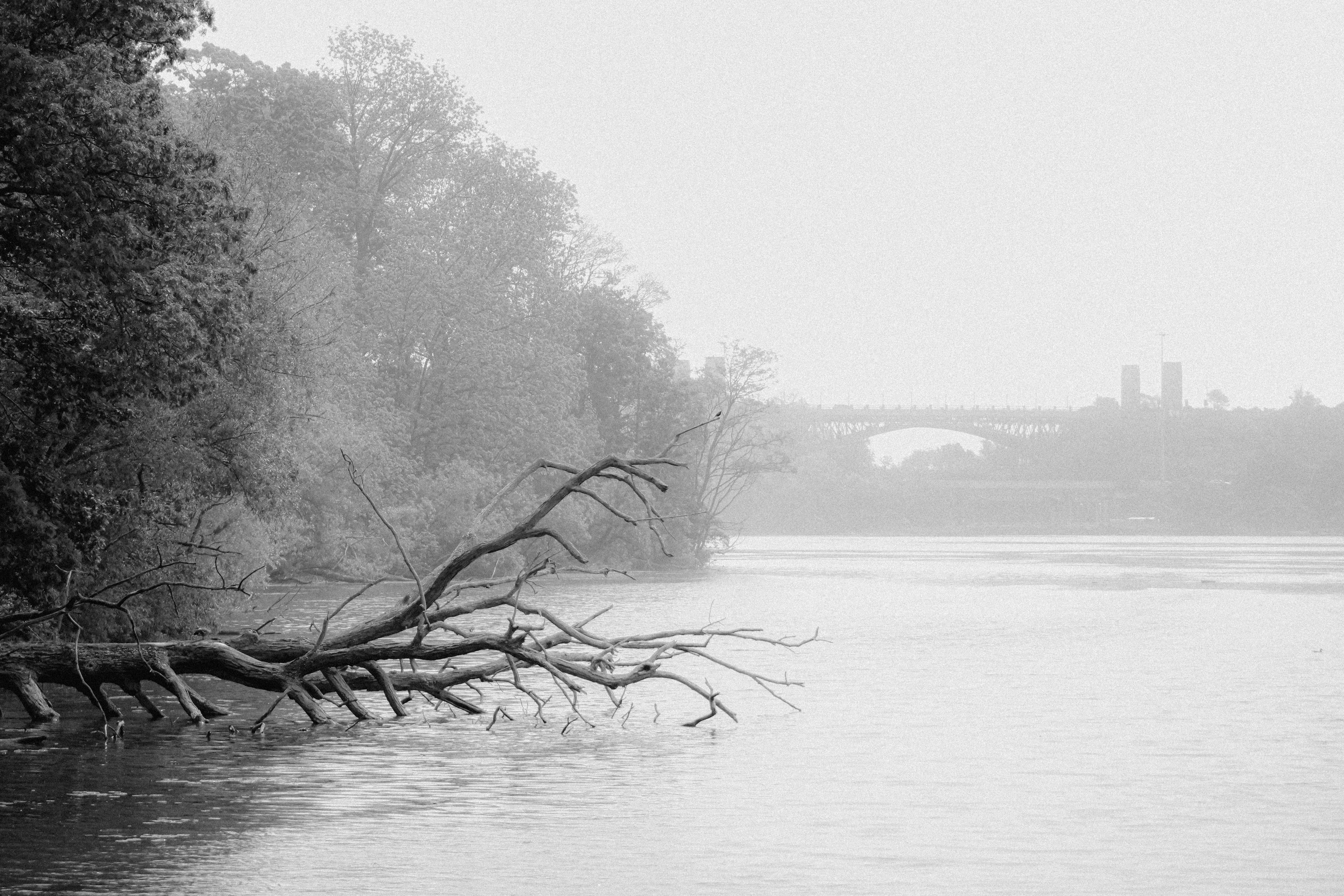 Photo by linusbelanger