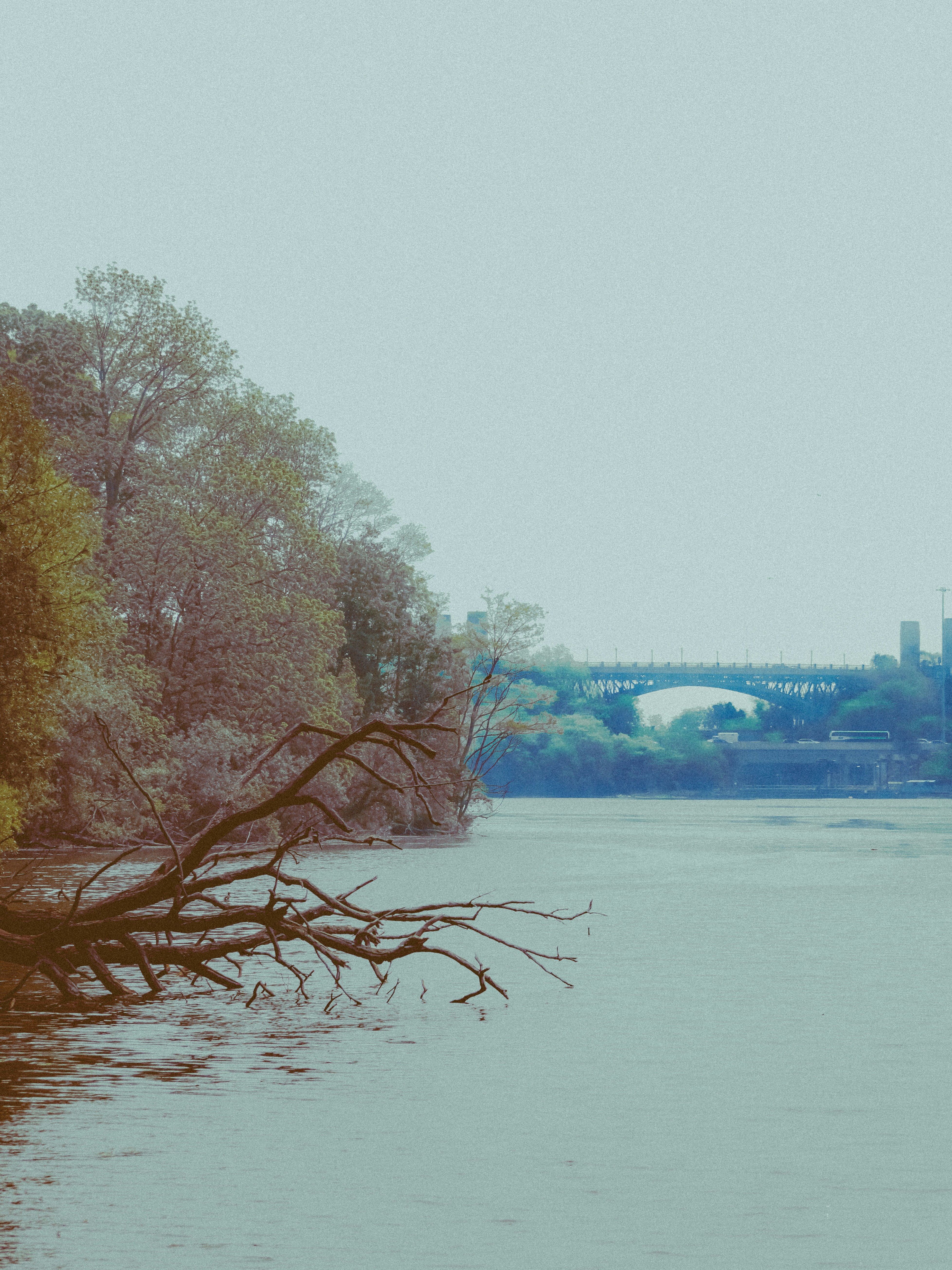 Photo by linusbelanger