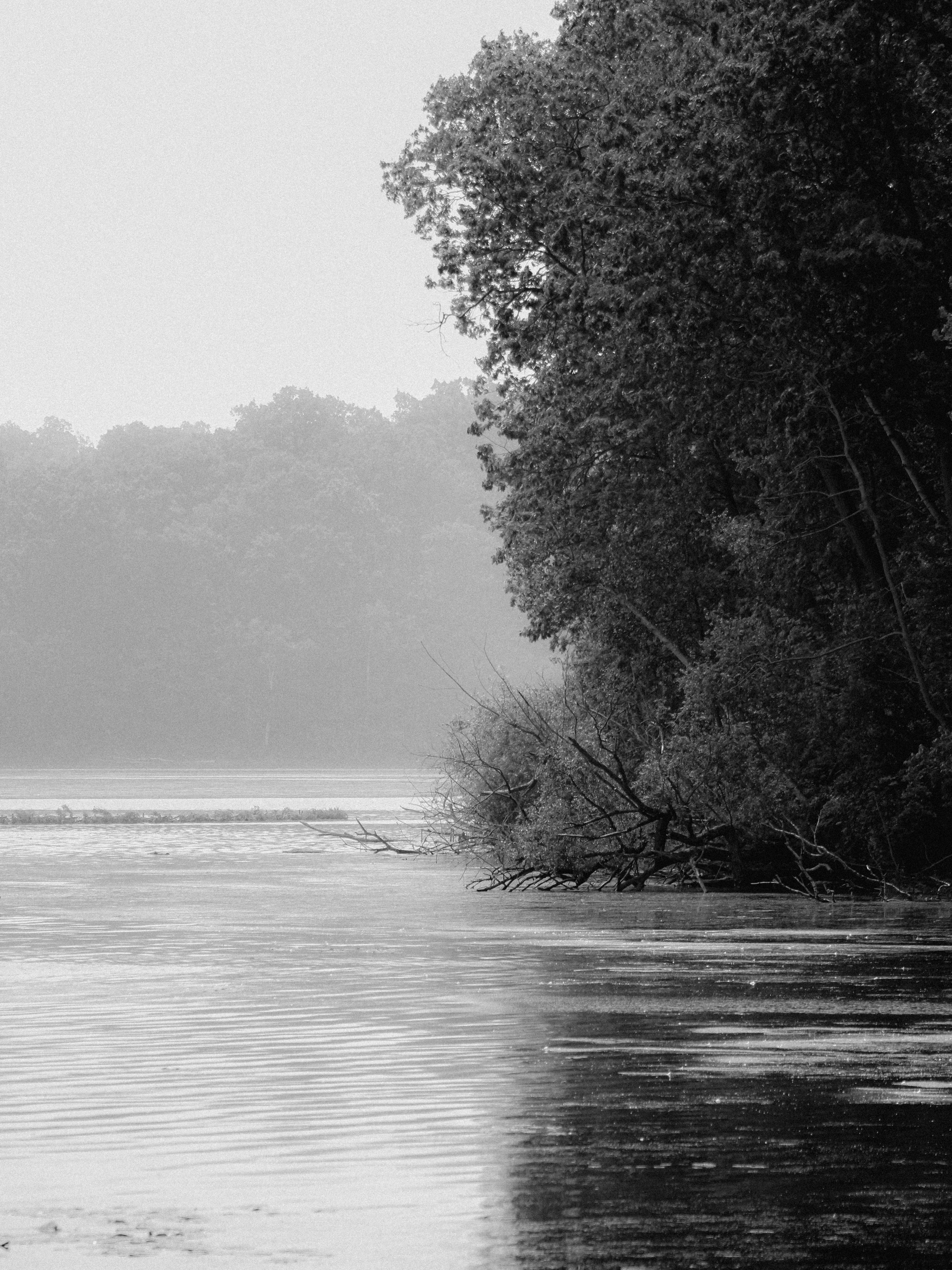 Photo by linusbelanger