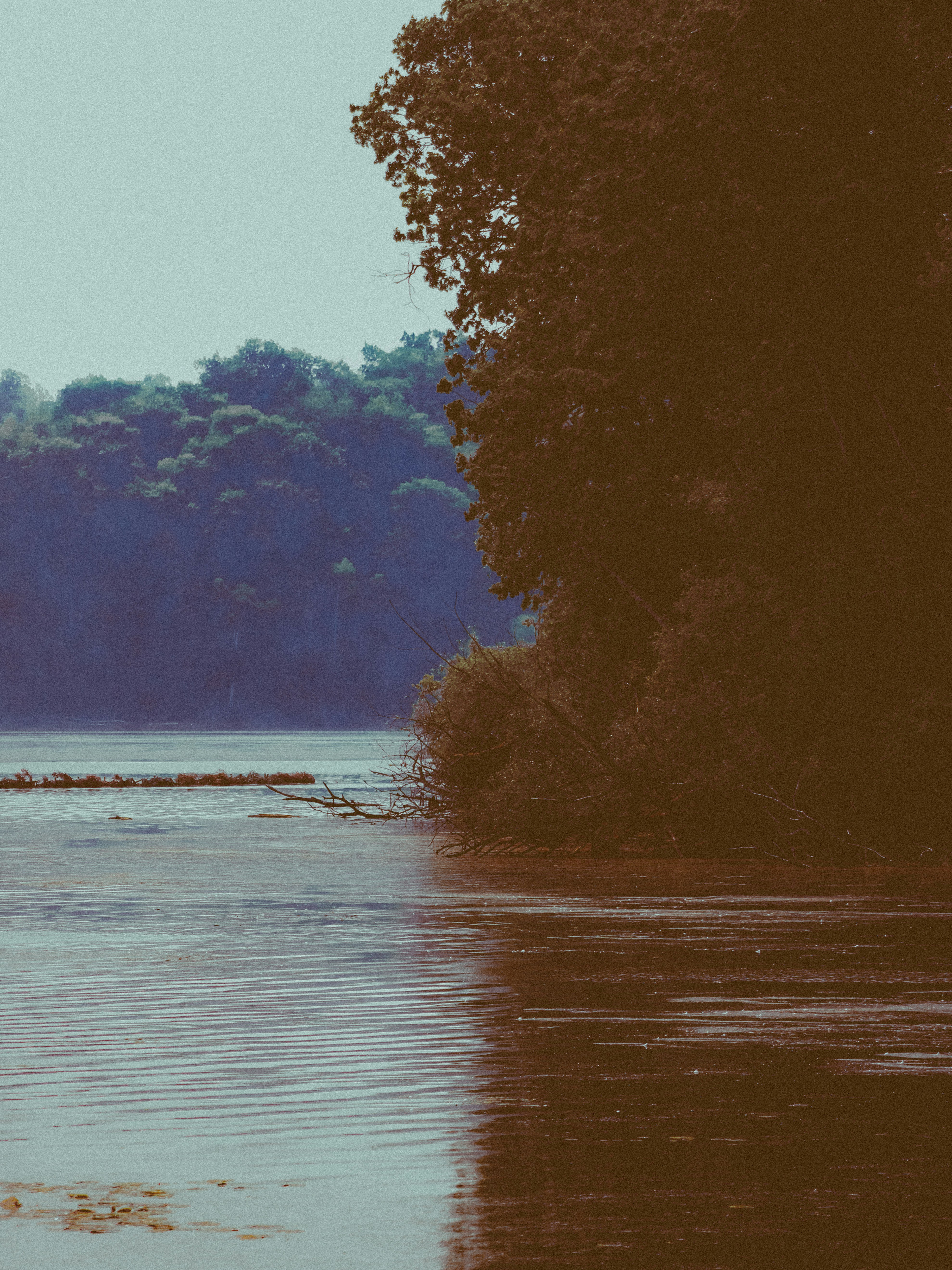 Photo by linusbelanger