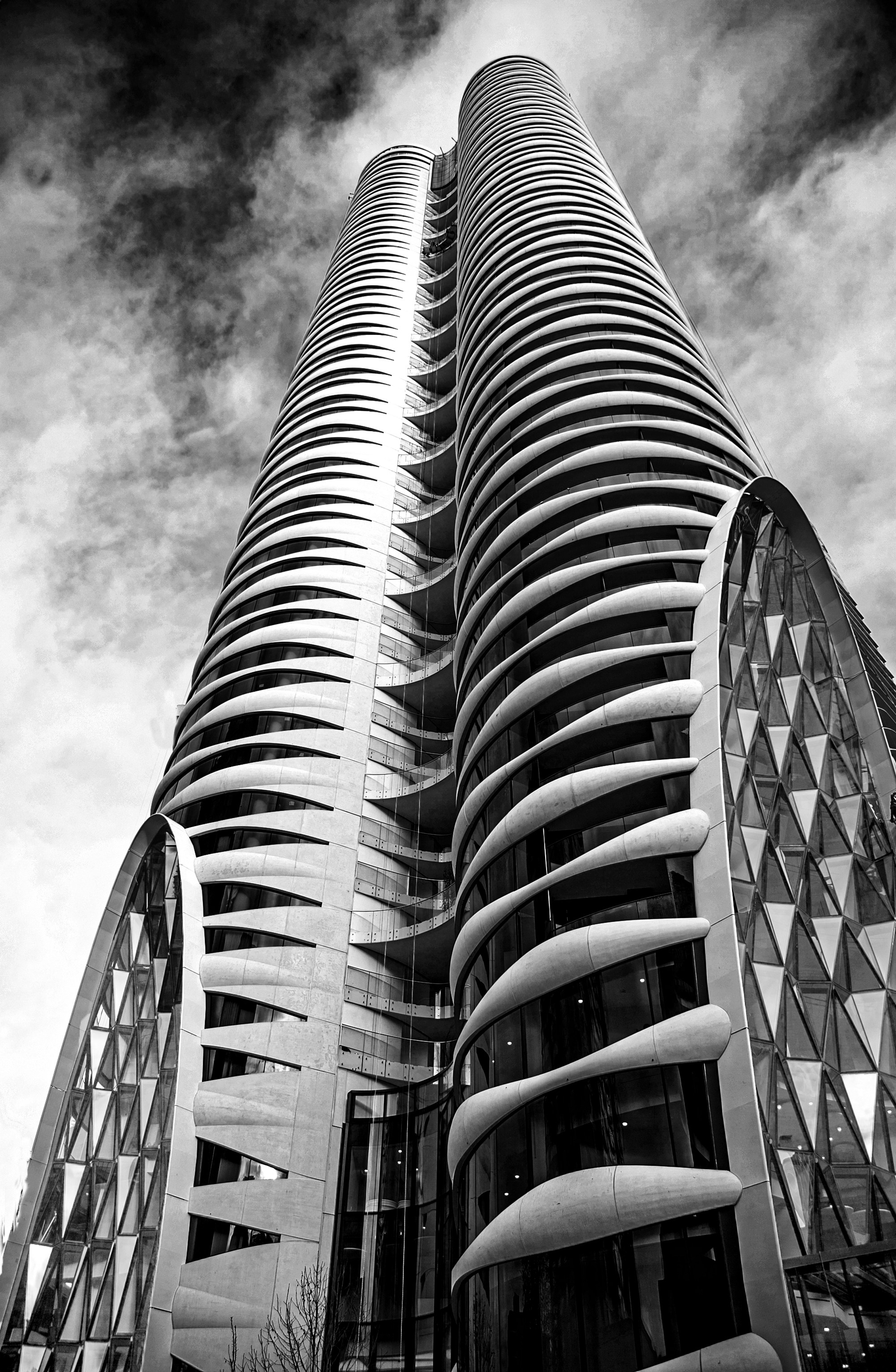 Photo by elviraobutler