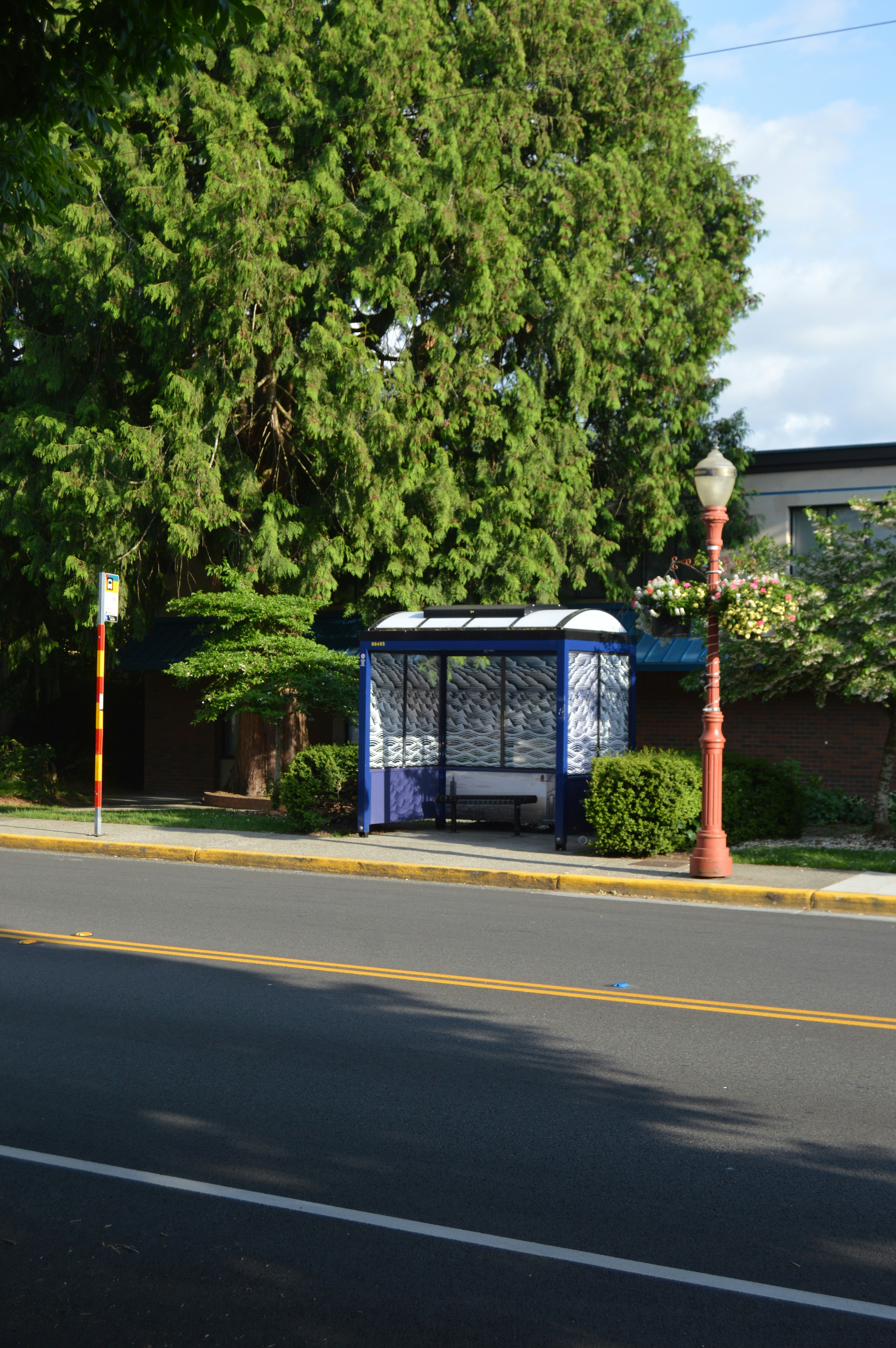 A bus stop sits near a leafy green tree.