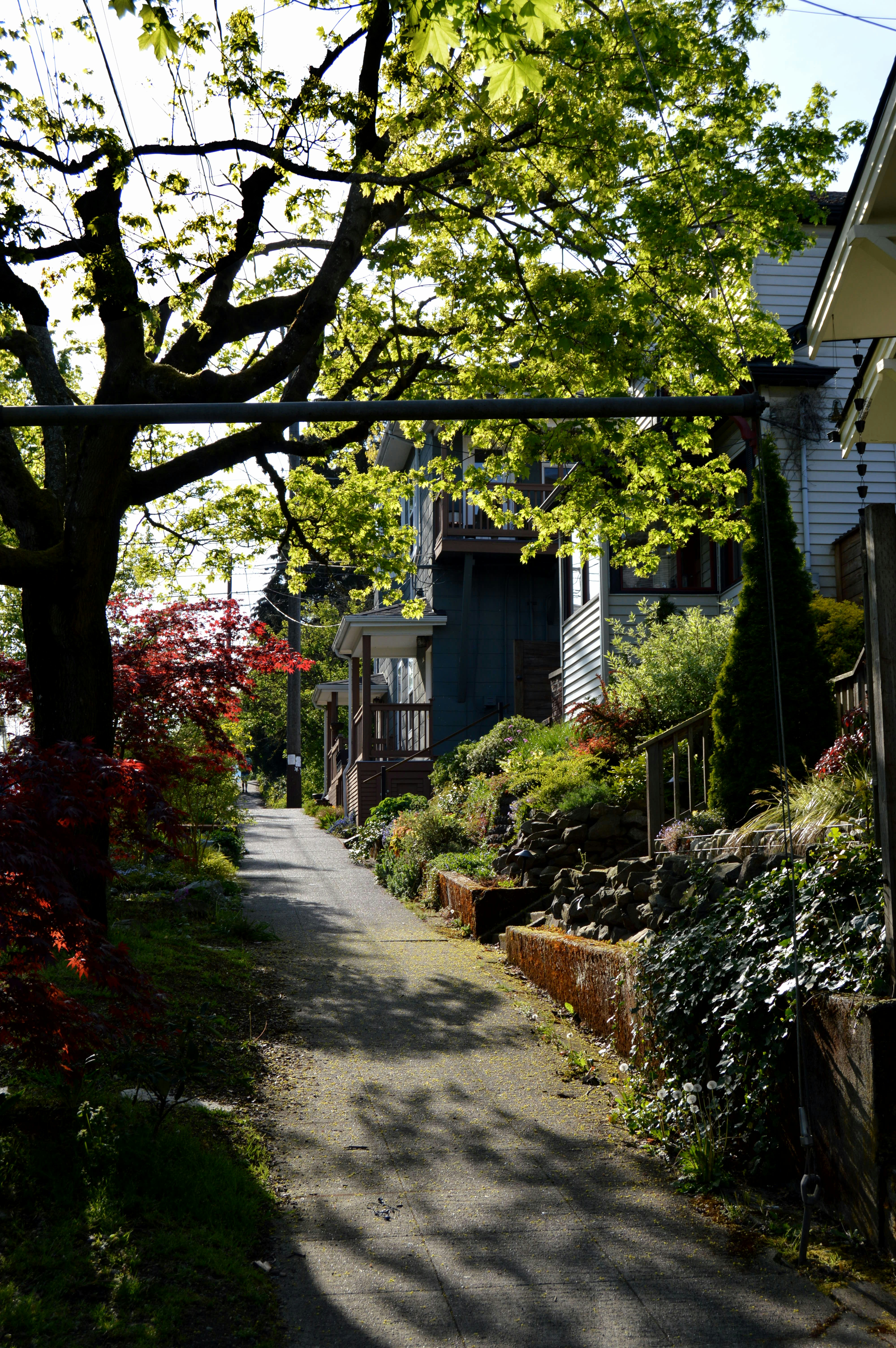 Bennett Springs, Western Australia
