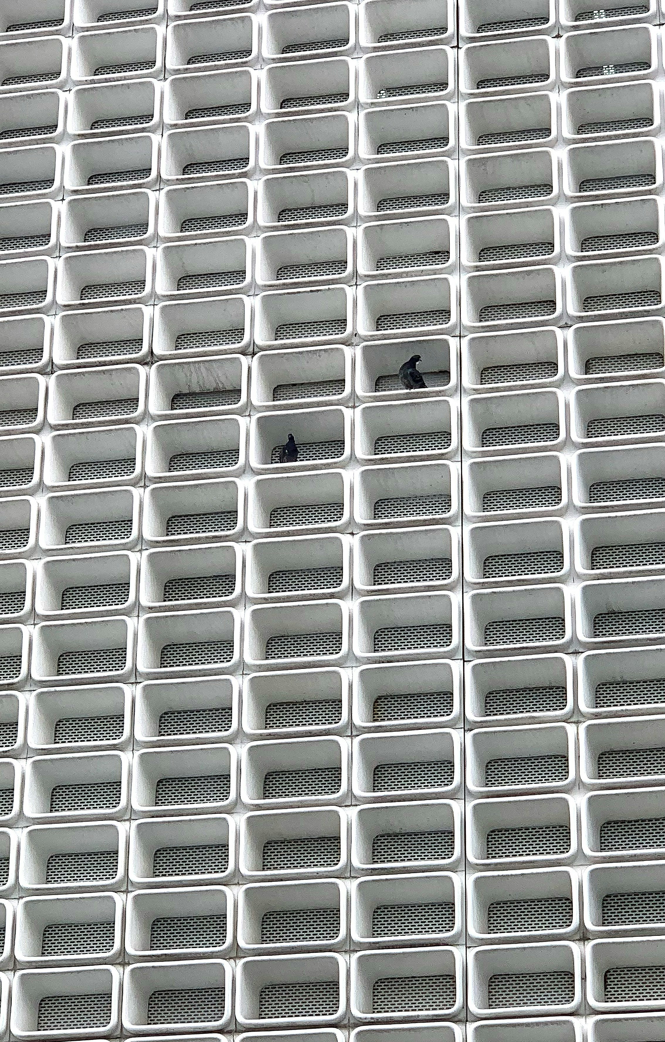 Birds perch on a textured building facade.