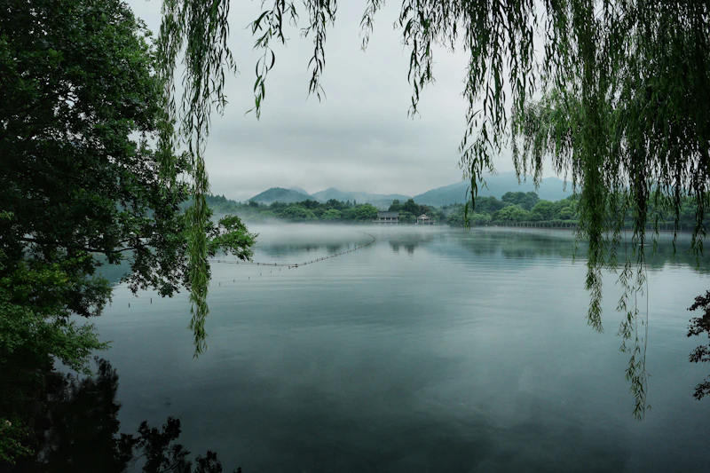 Mist over a tranquil lake