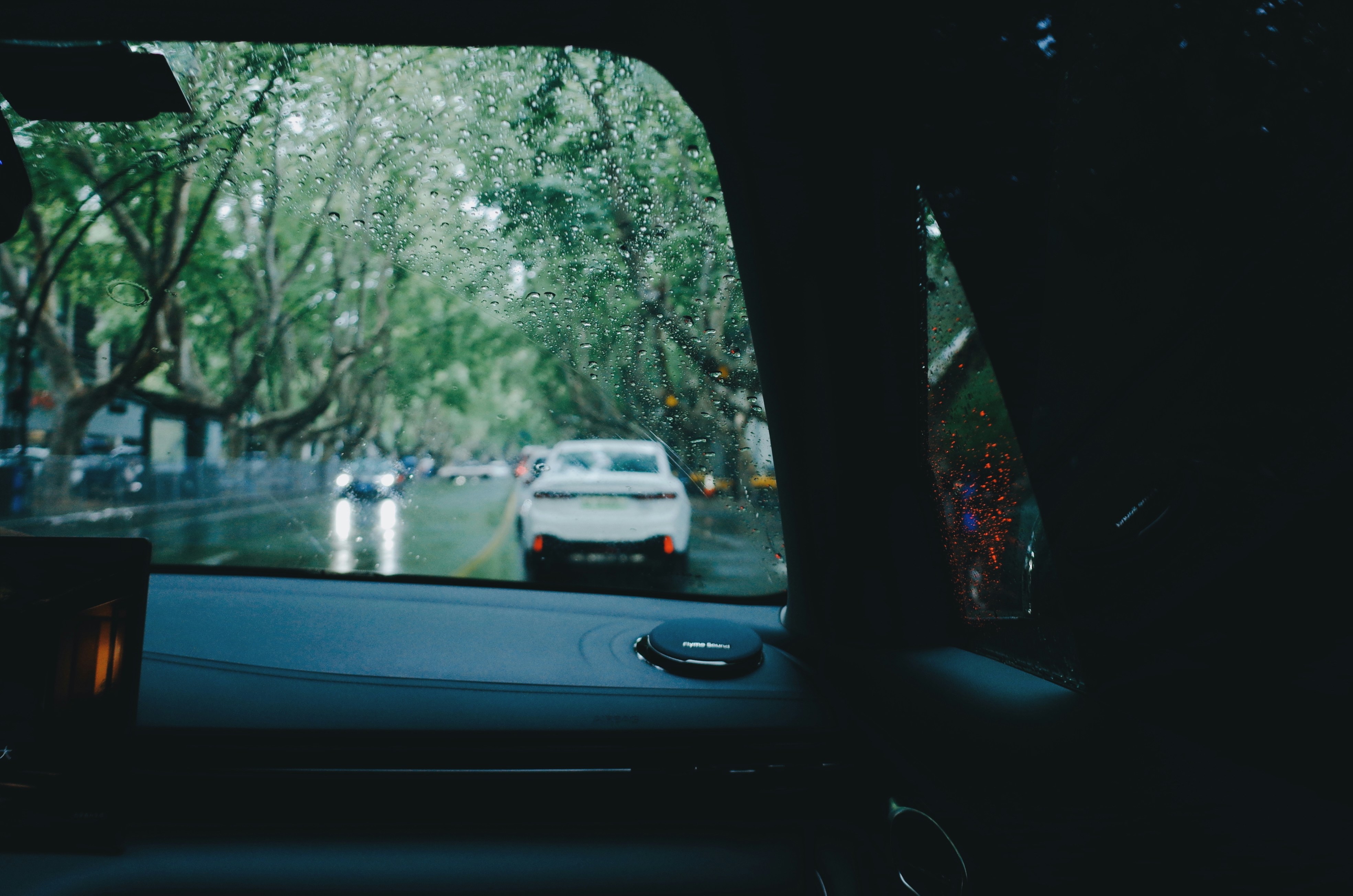 Driving in the rain with a beautiful tree-lined street.