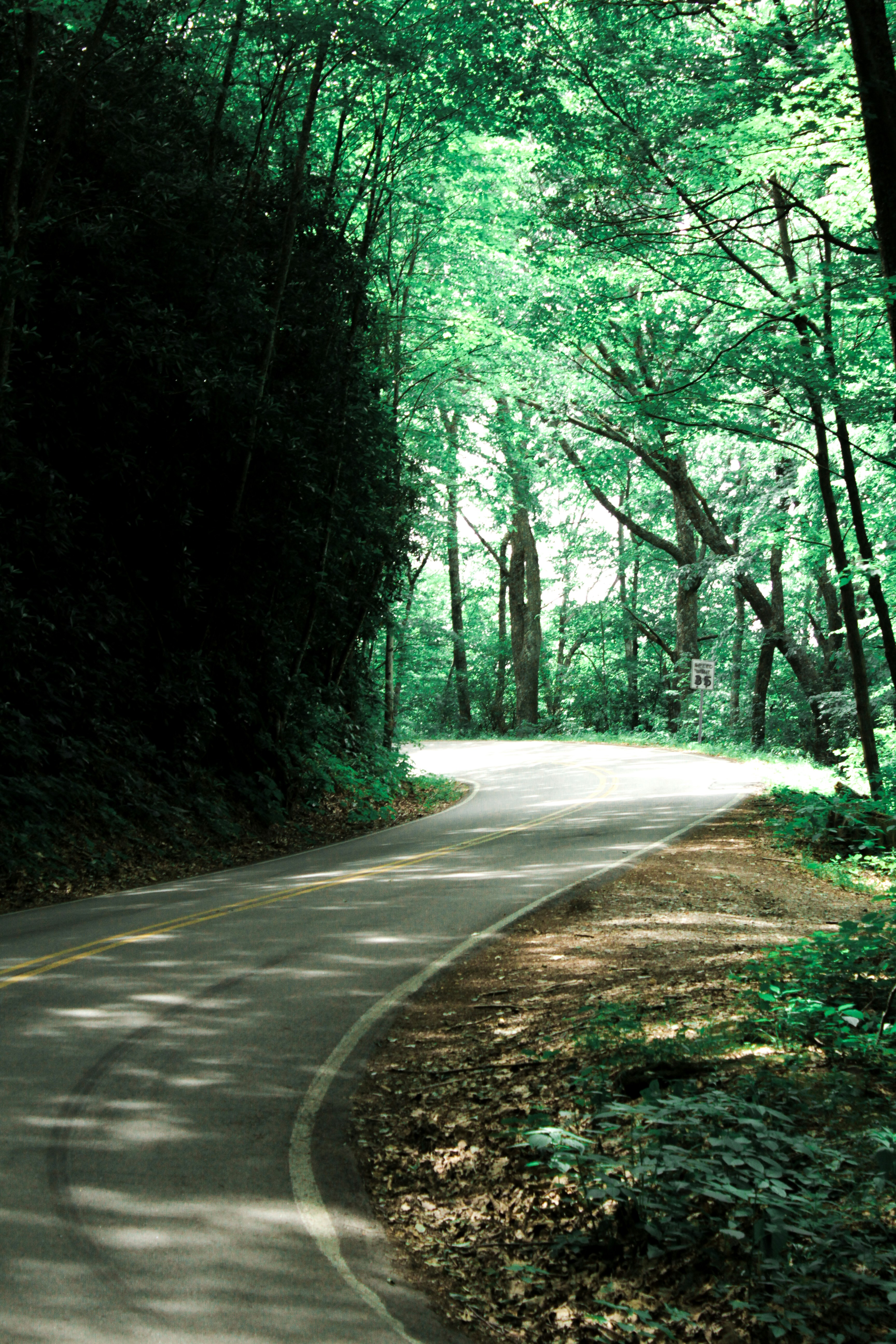 Photo by lainelingle