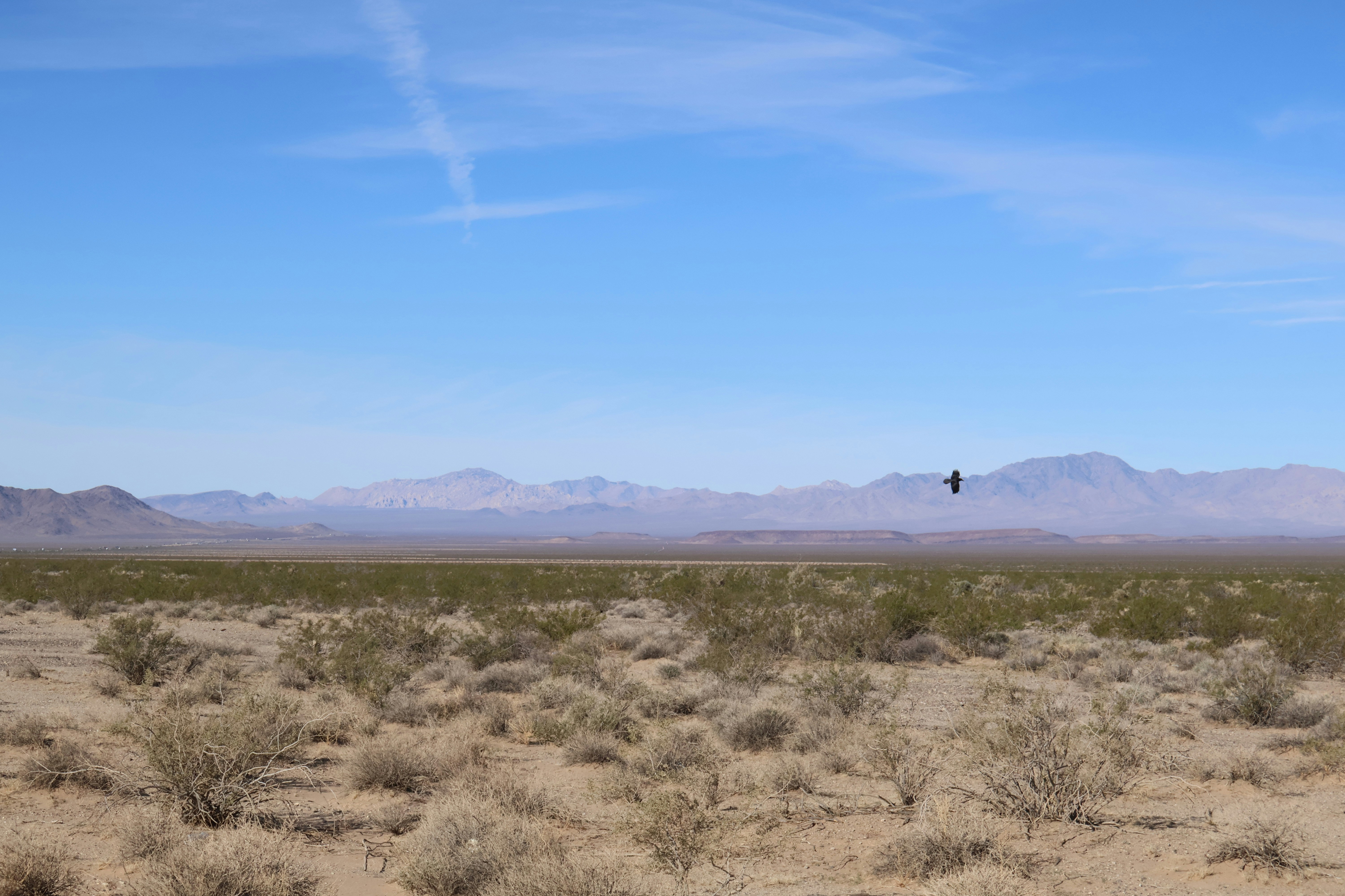 Desert landscape with AC unit - Can you recommend a top-rated ac maintenance company in gold canyon, az?