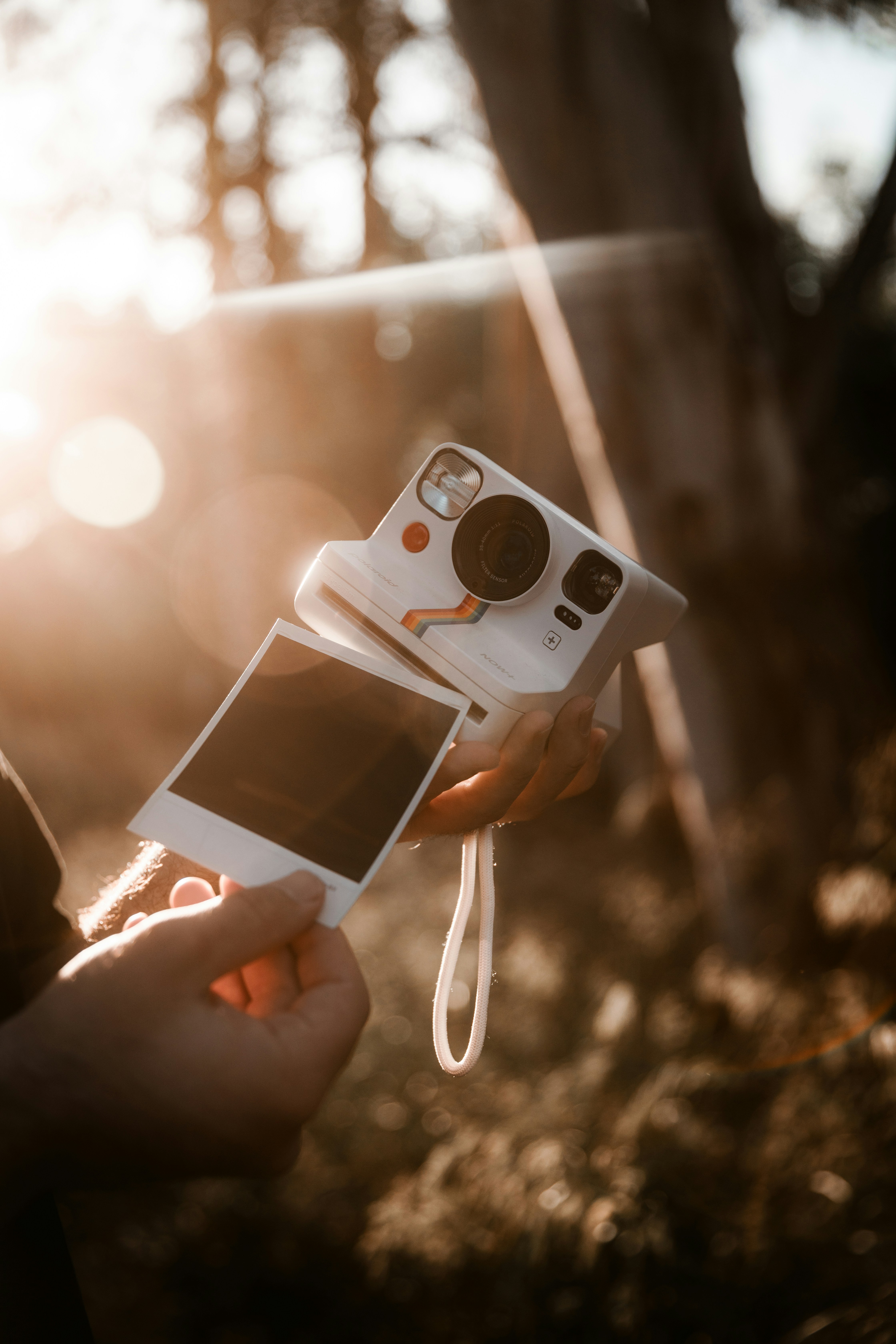 A person holds a polaroid camera and a photo.