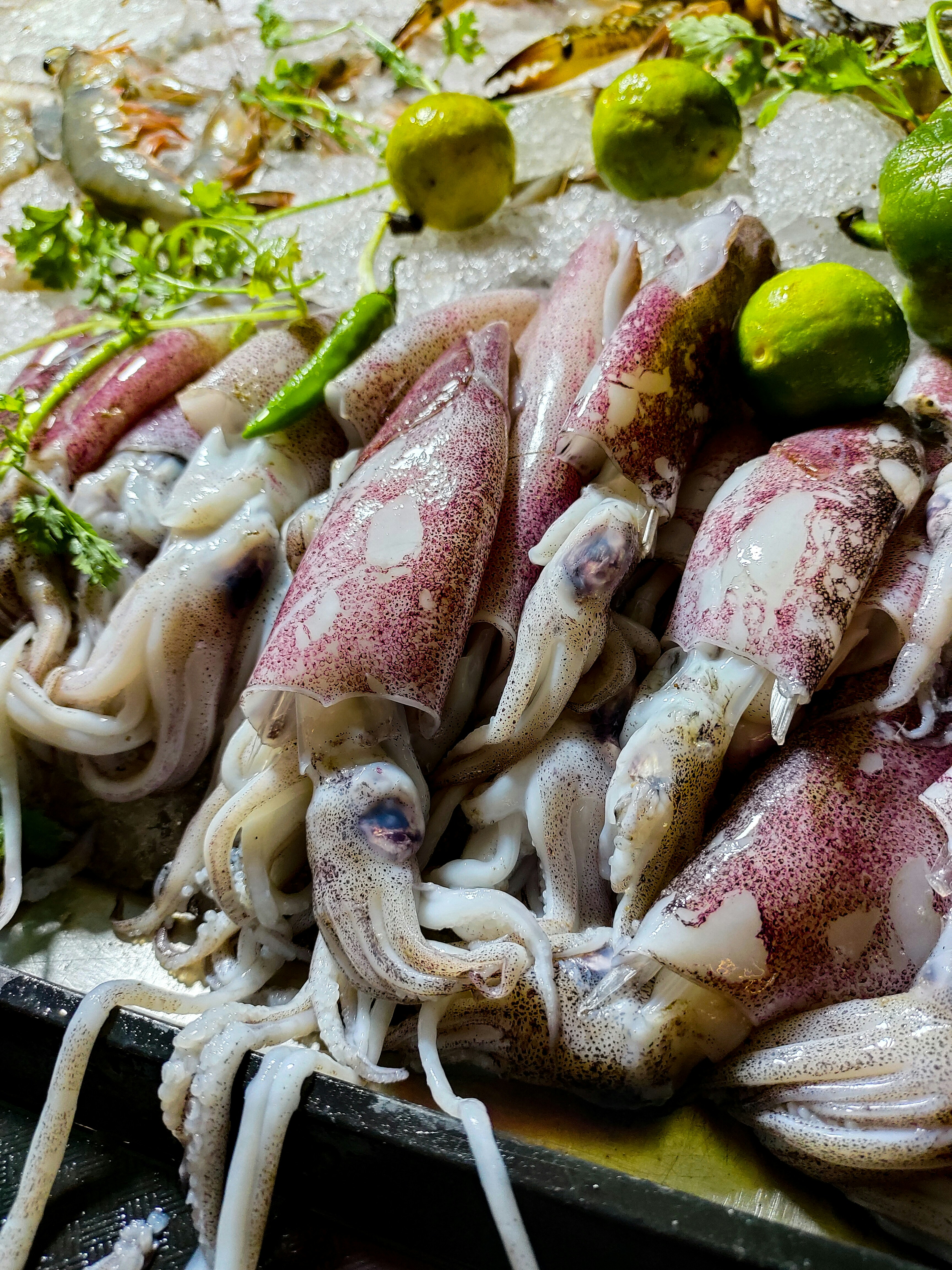 Grilled calamari skewers served with a fresh salad