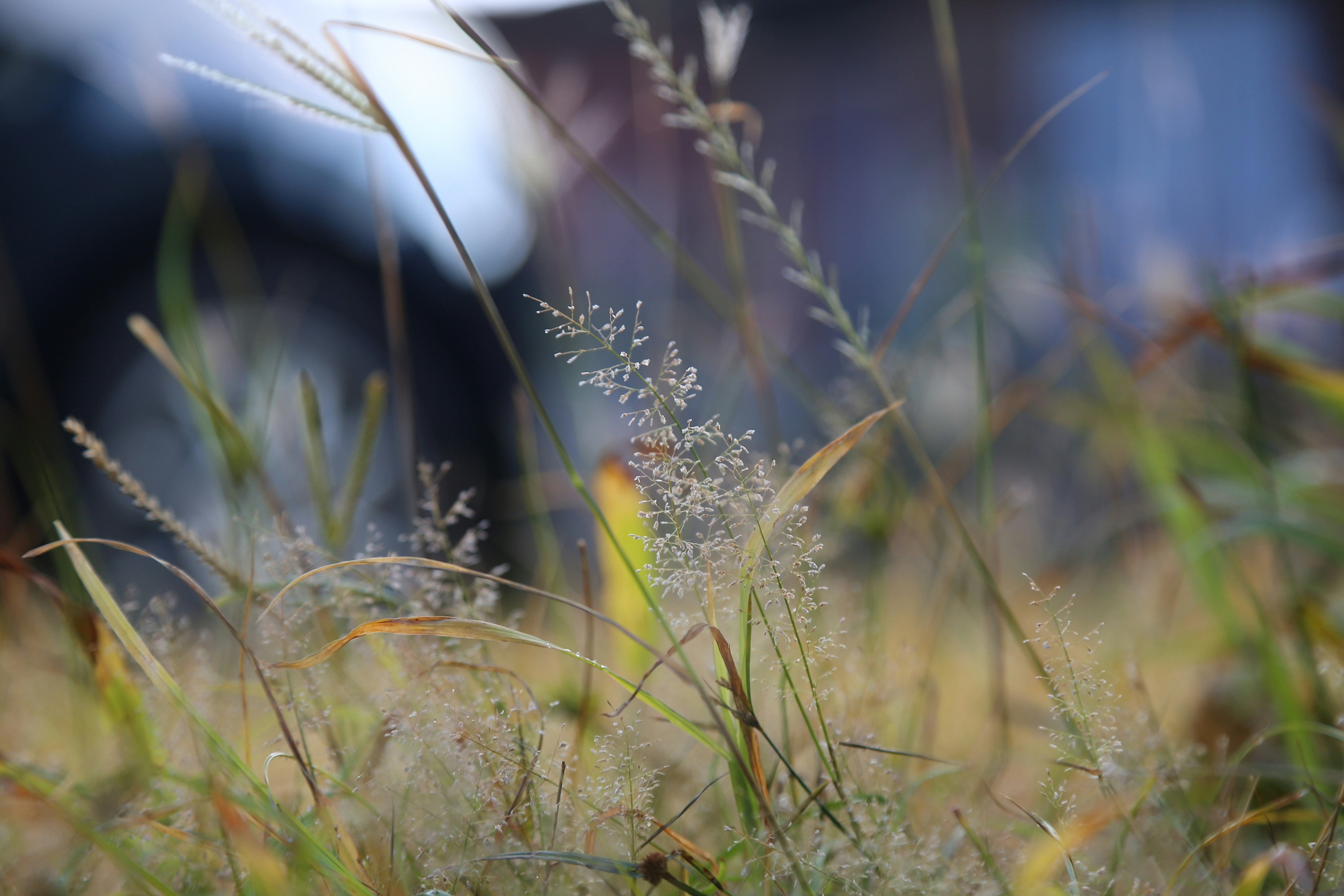 Photo by selipar_jepon