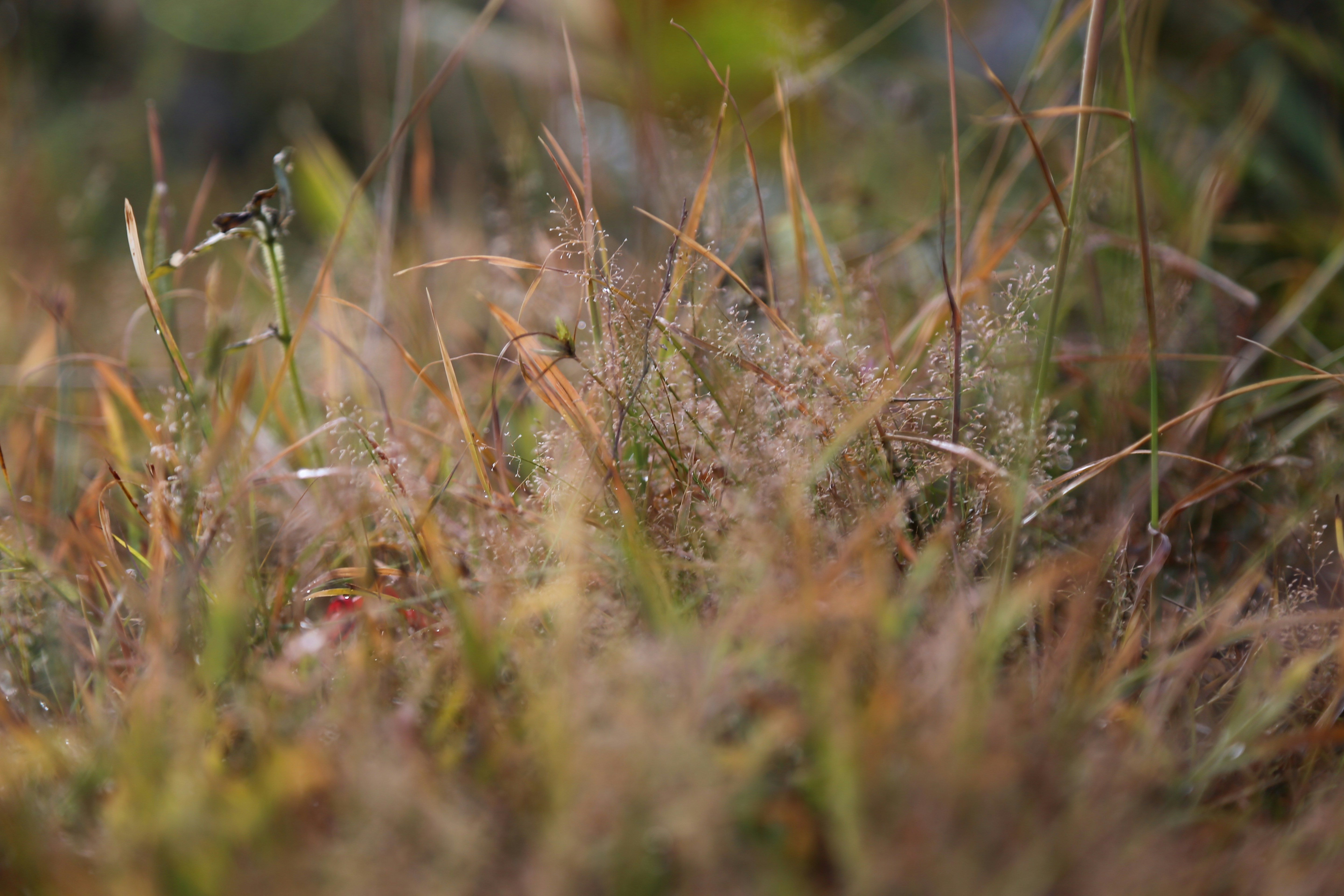 Photo by selipar_jepon