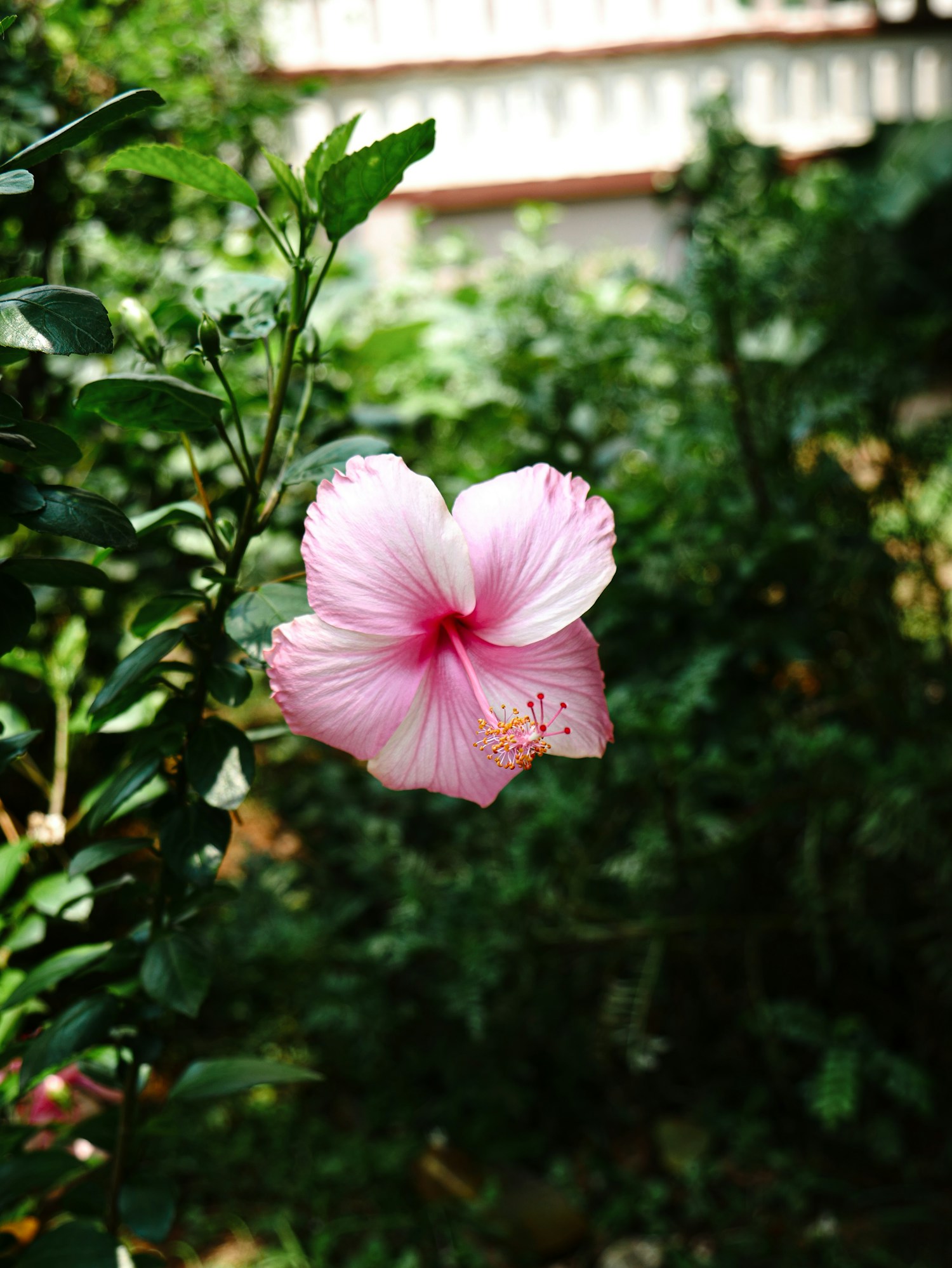 Relaxing outdoor terrace overlooking the beach