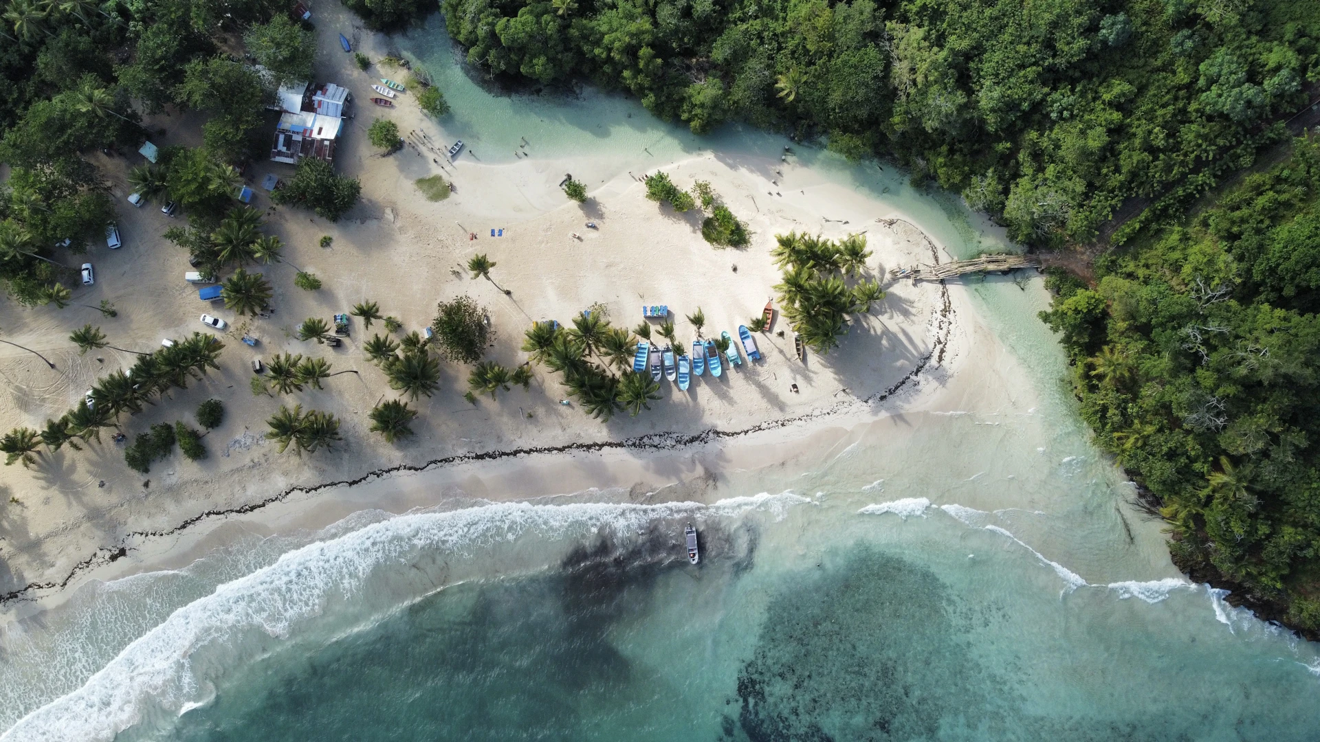 Beach with trees and boats on the Samaná Peninsula