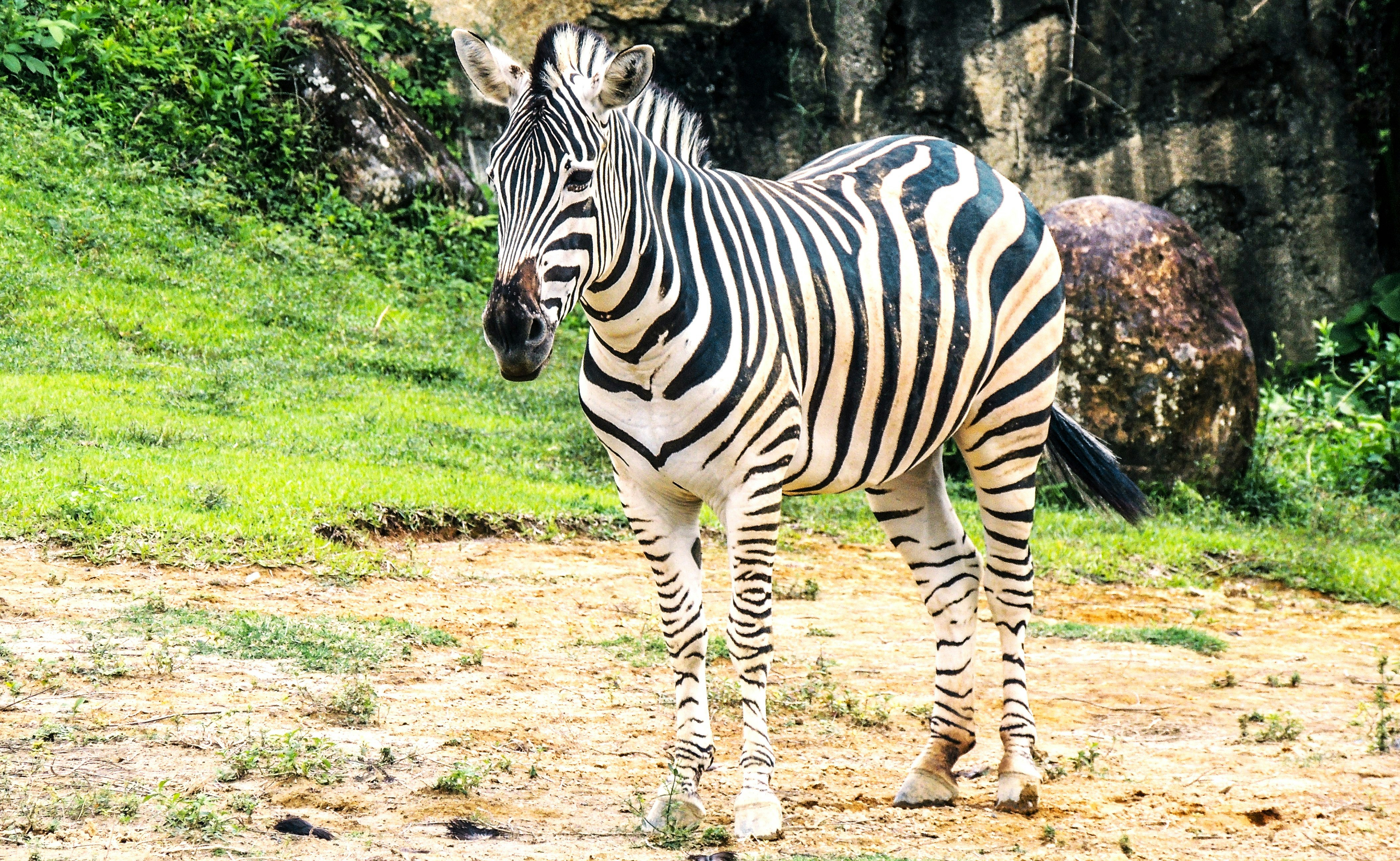 Photo by citywildlens