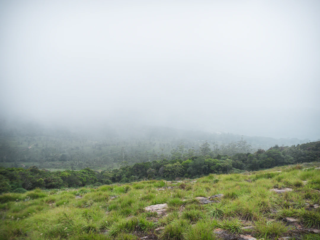 2-Day Ella Family Itinerary: Kid-Friendly & Relaxed