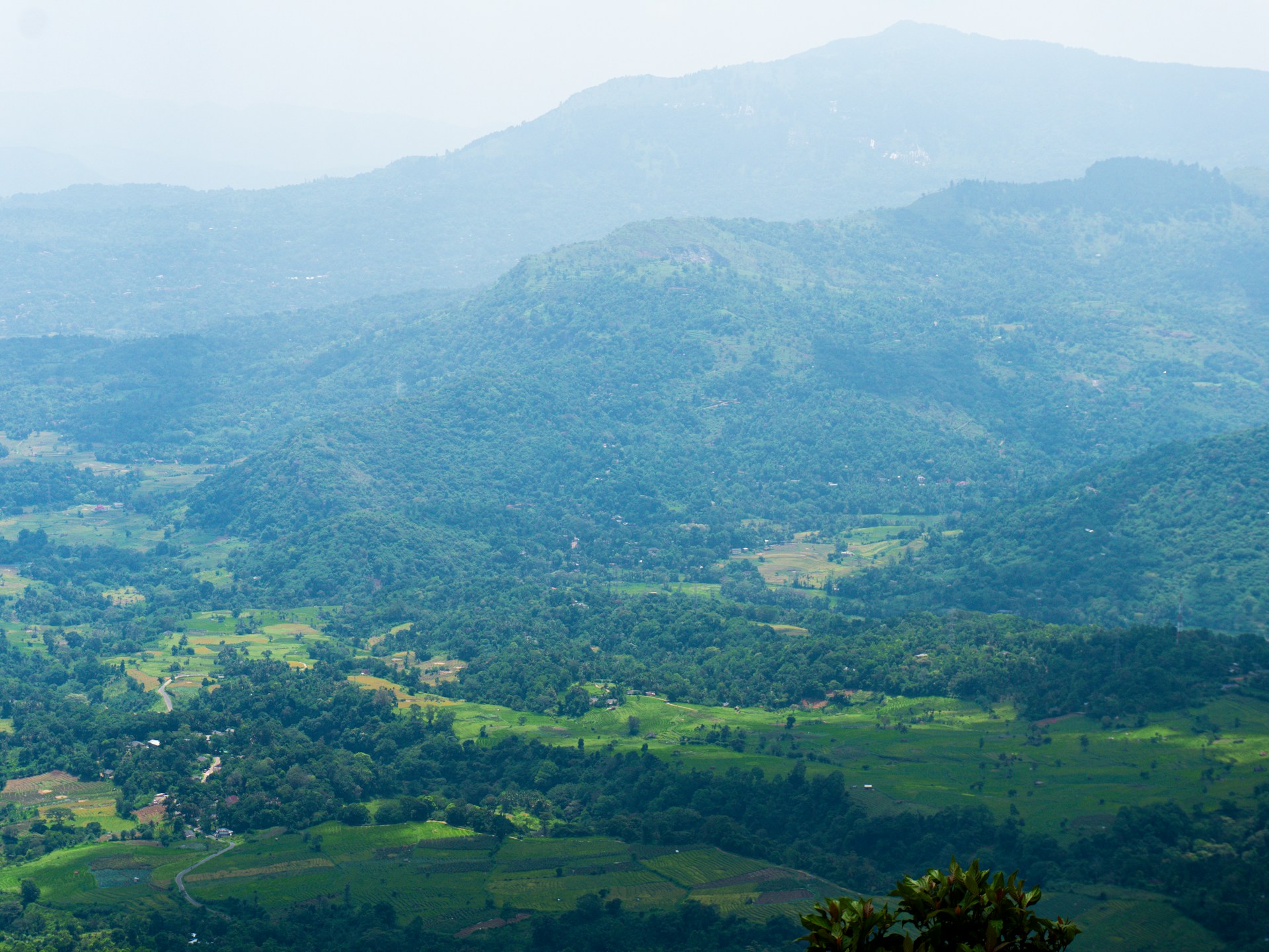 Hilly landscape with lush green vegetation.
