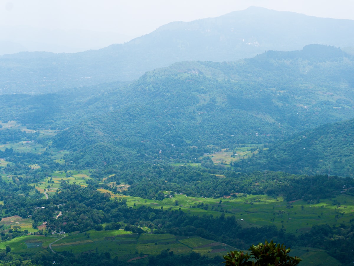 Hilly landscape with lush green vegetation.