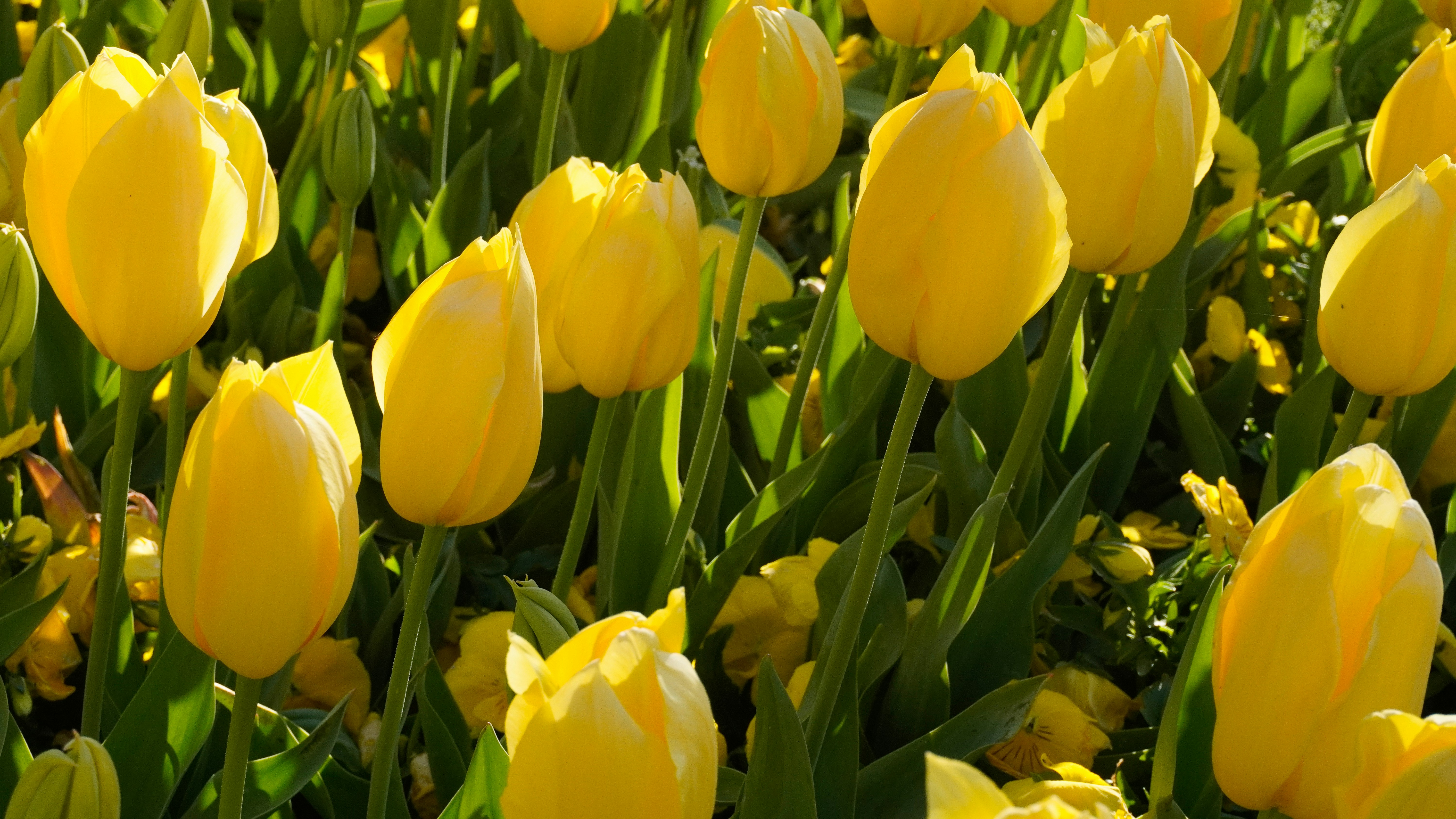 Photo by towhidkhudadad