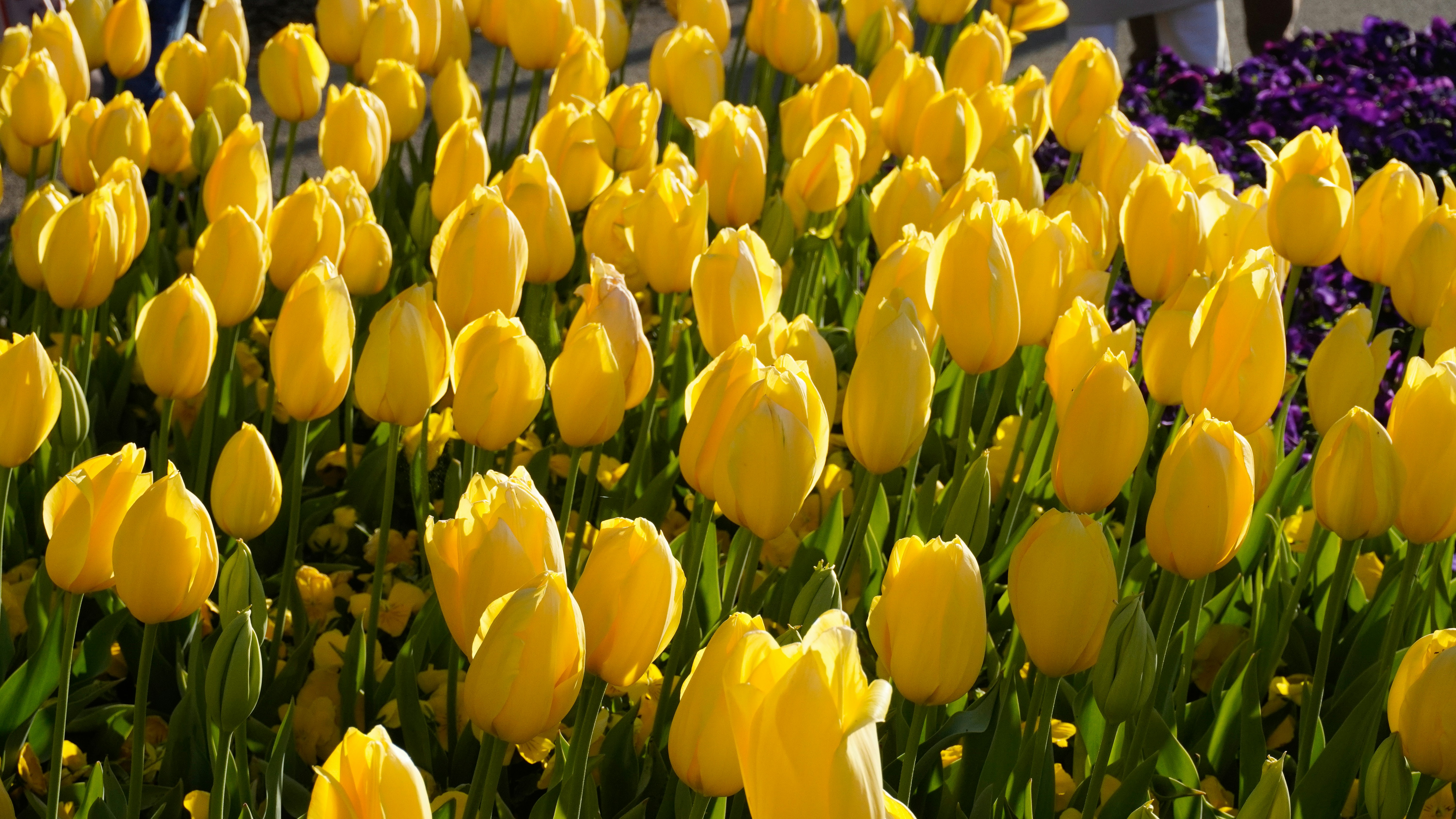 Photo by towhidkhudadad