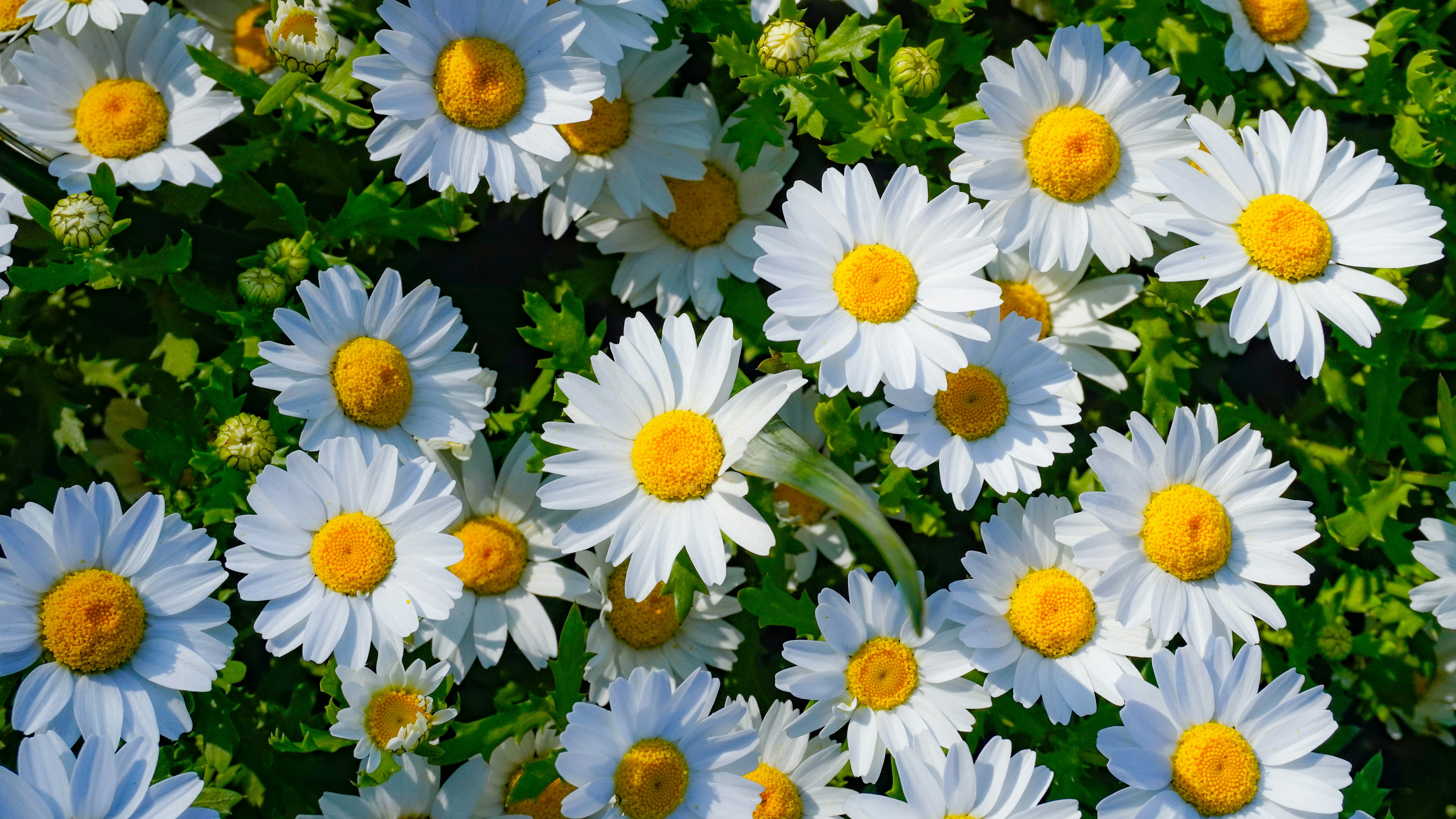 Photo by towhidkhudadad