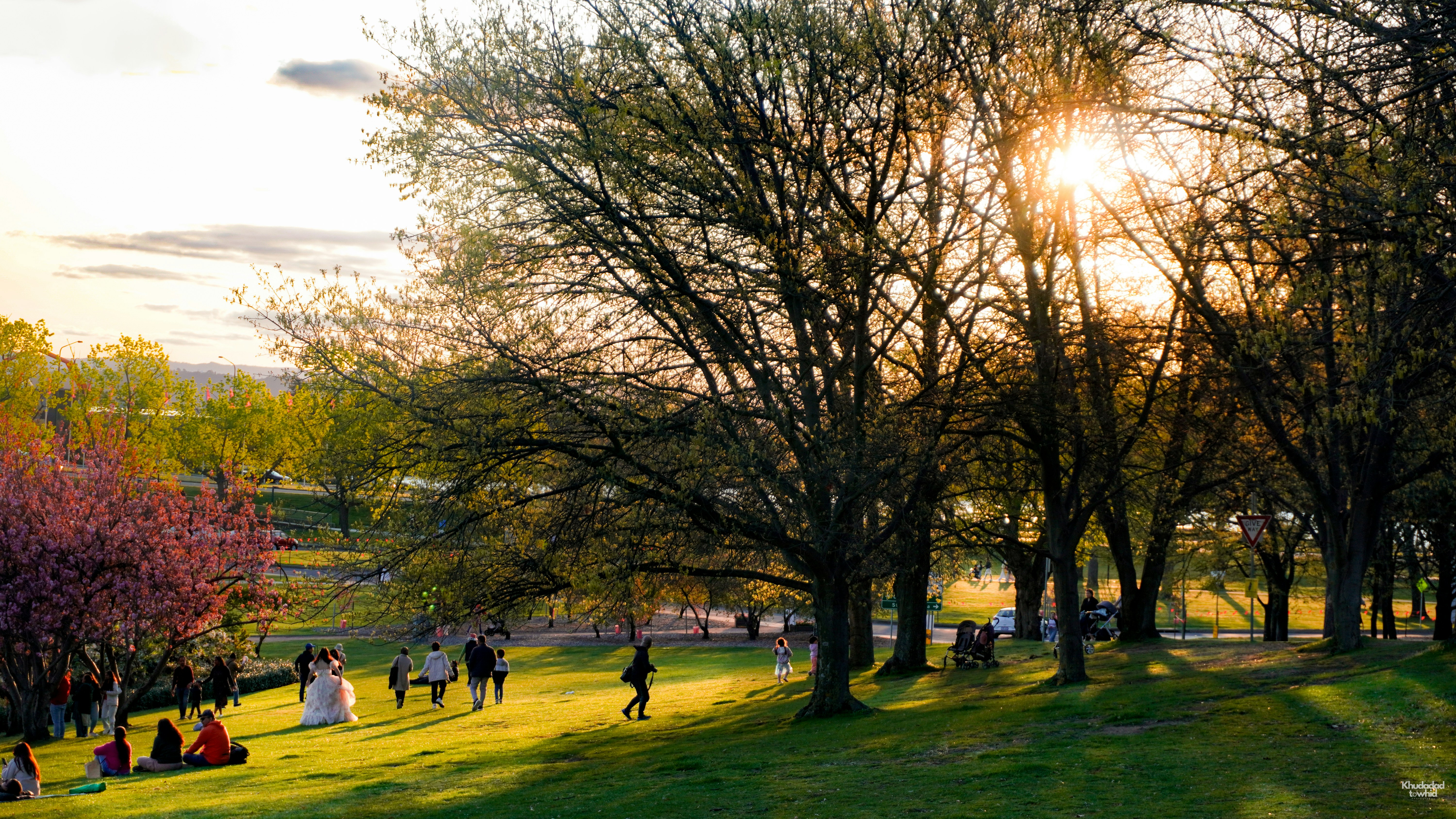 Photo by towhidkhudadad